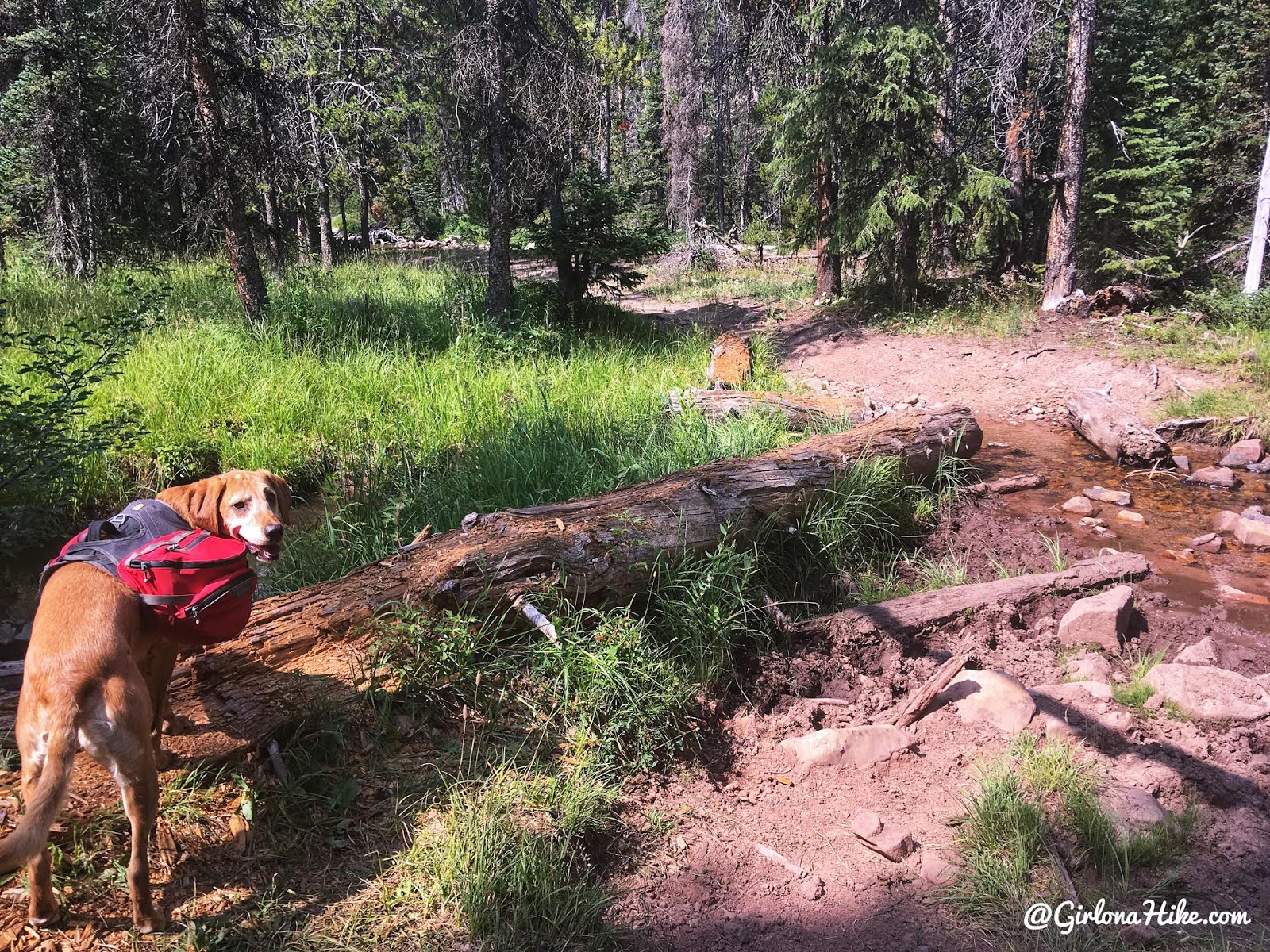 Backpacking to Allsop Lake, Uintas