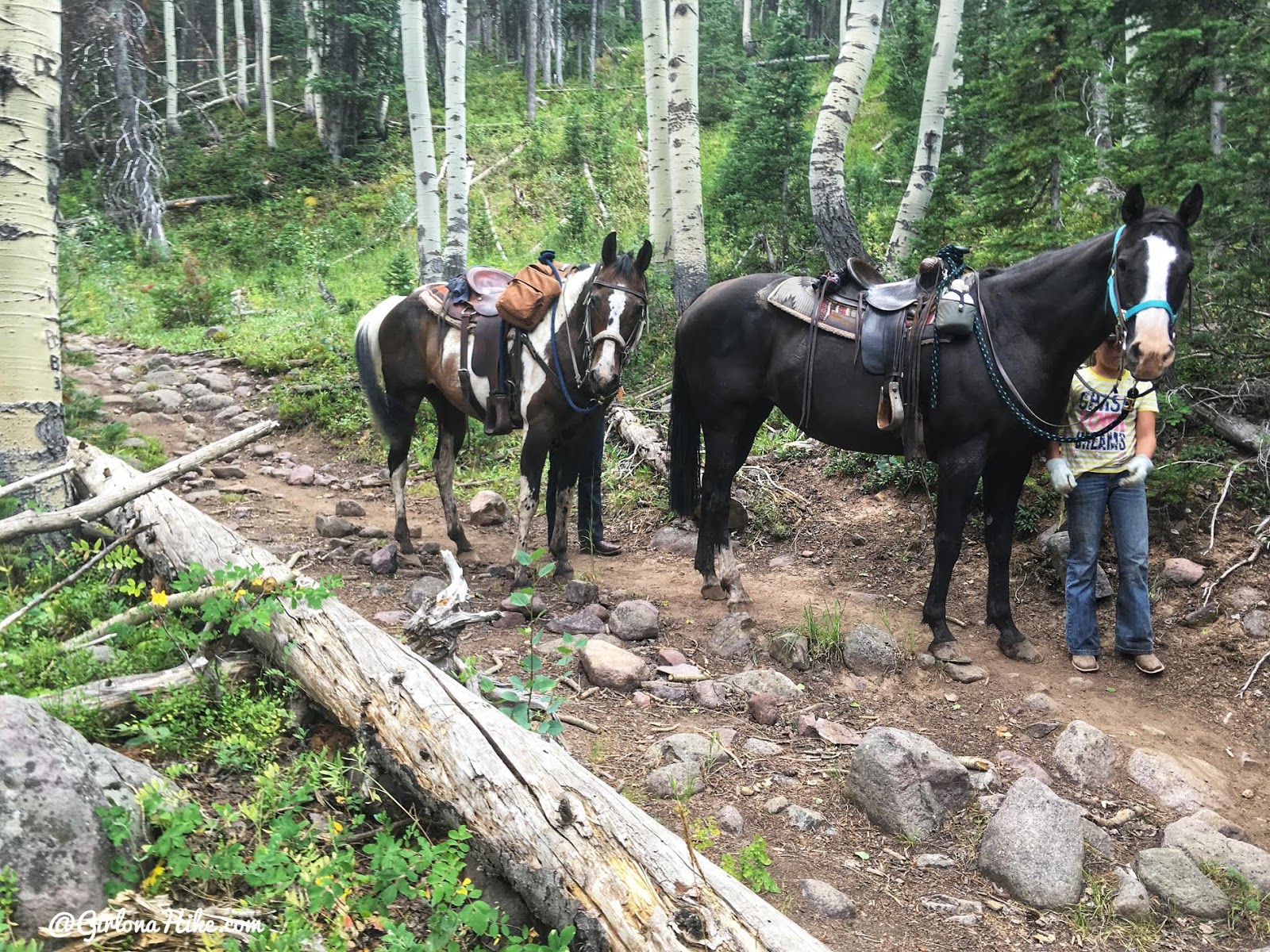 Backpacking to Round, Sand, & Fish Lakes, Uintas