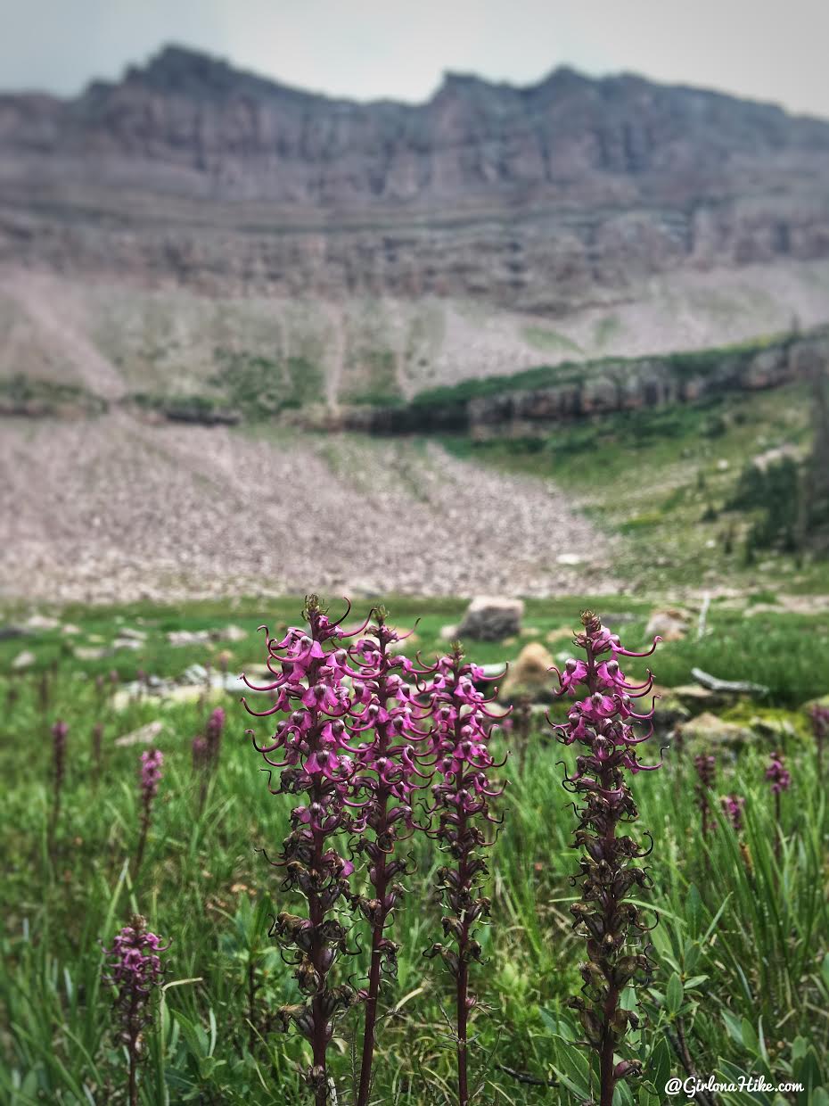 Backpacking to Allsop Lake, Uintas