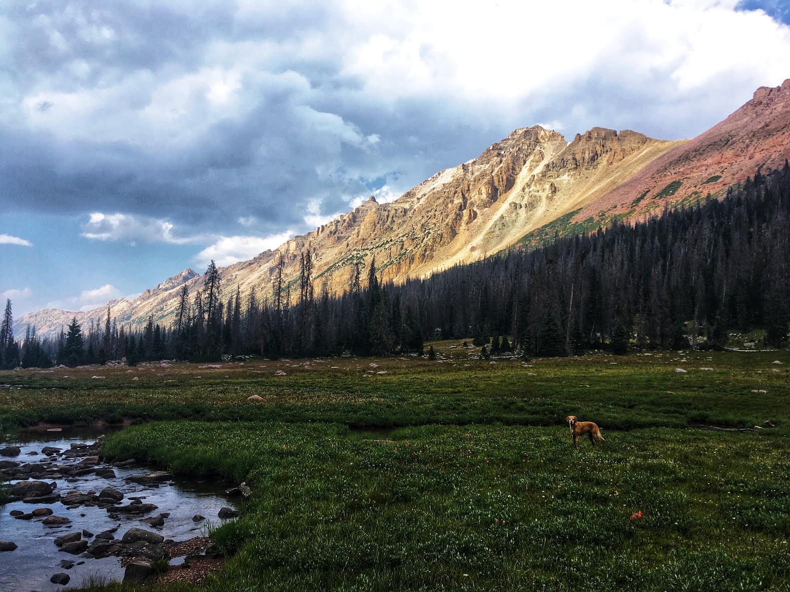 Backpacking to Allsop Lake, Uintas