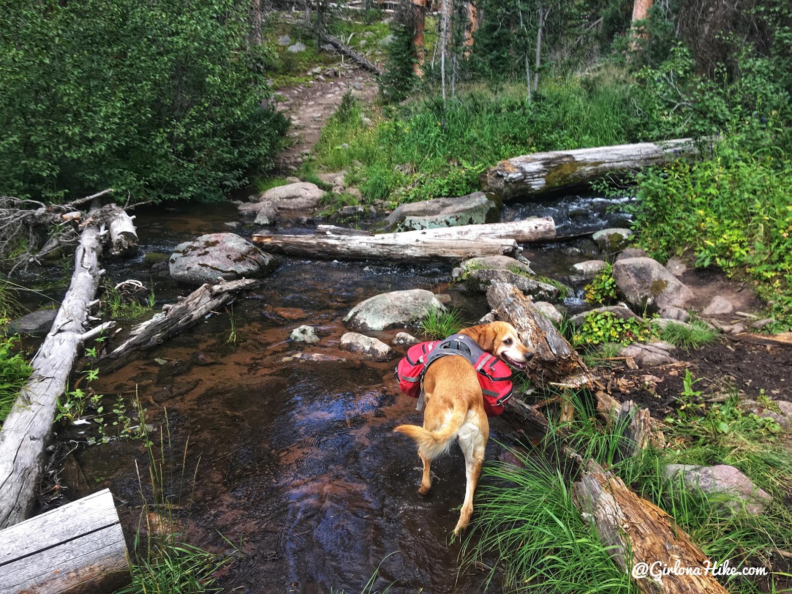 Backpacking to Round, Sand, & Fish Lakes, Uintas