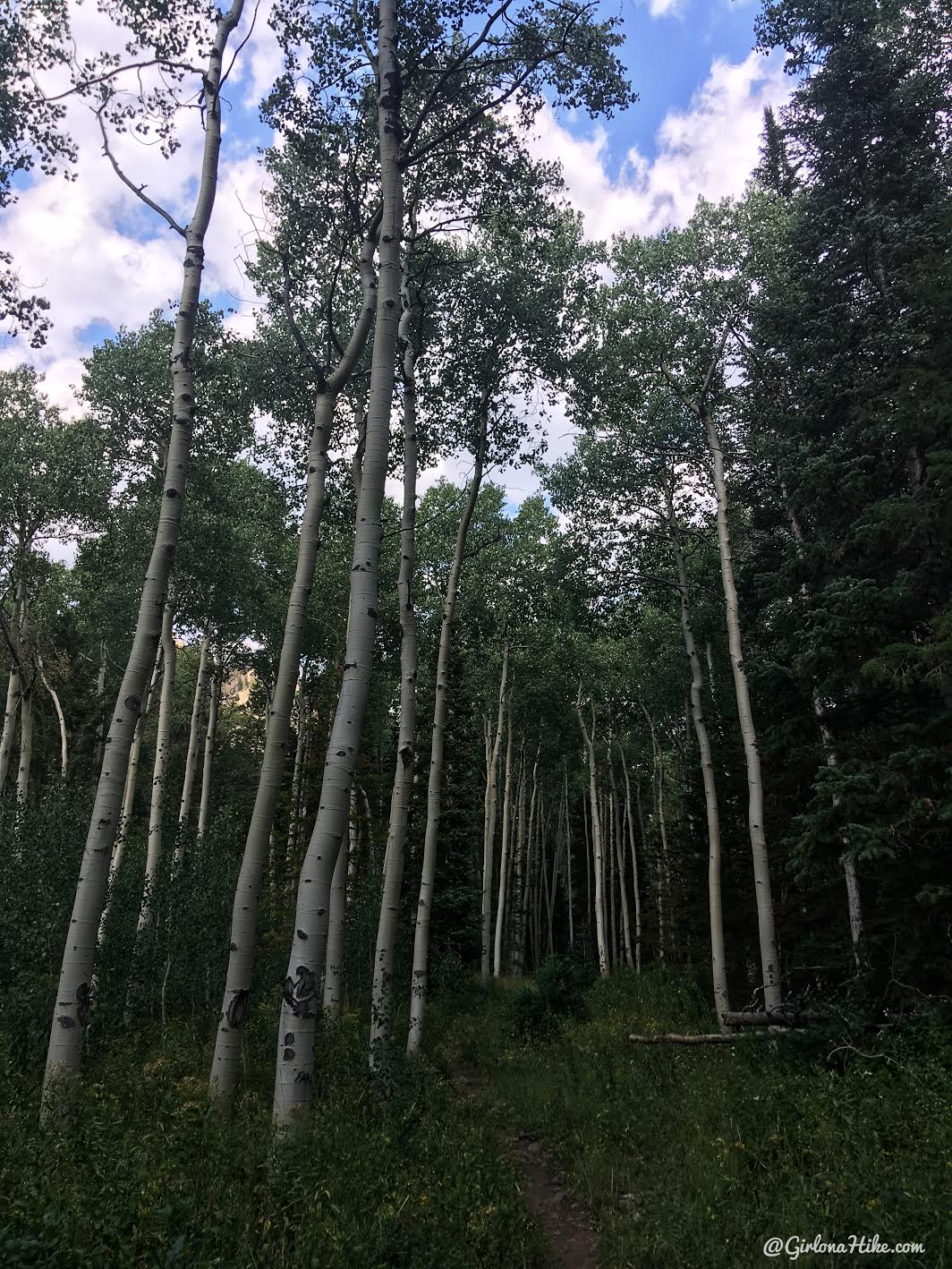 Backpacking to Round, Sand, & Fish Lakes, Uintas