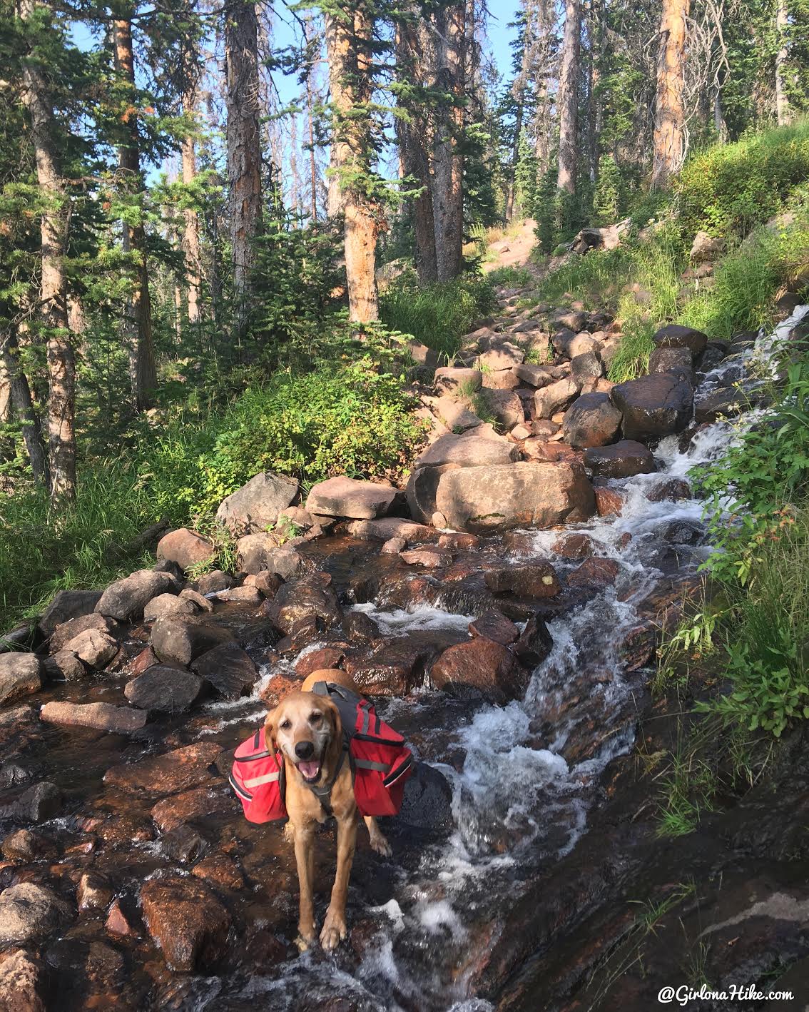 Backpacking to Round, Sand, & Fish Lakes, Uintas