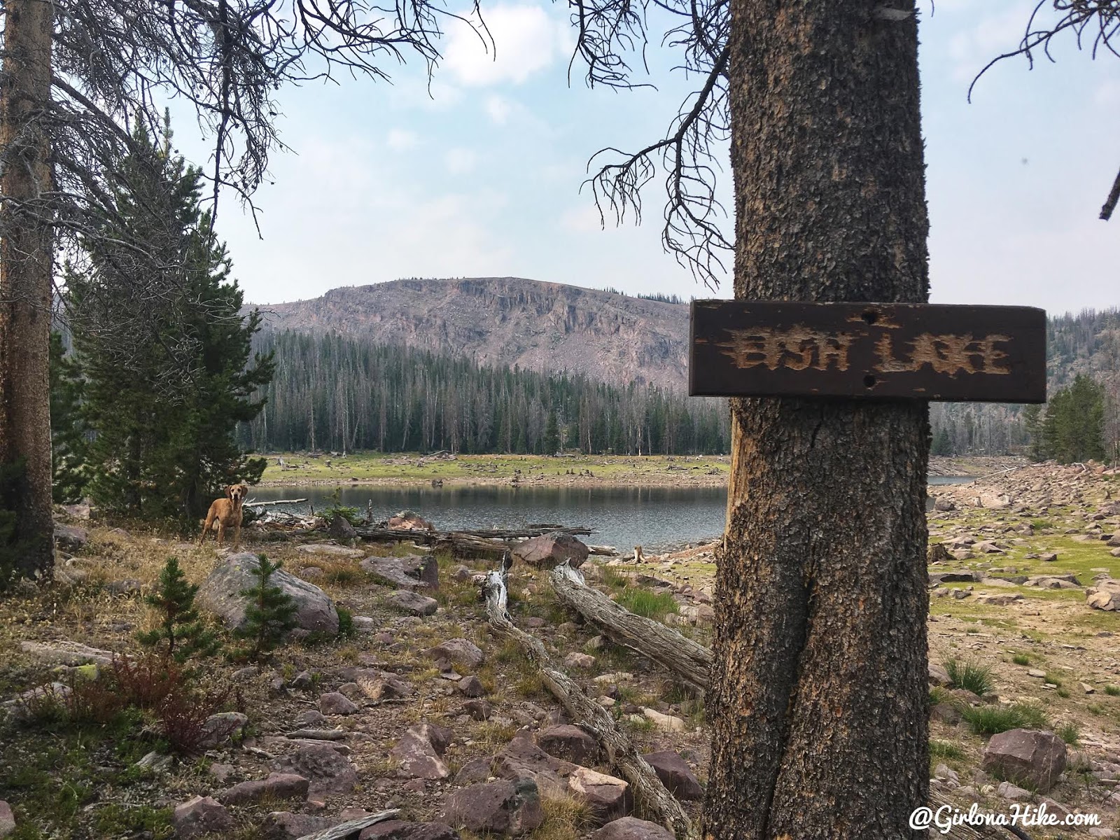 Backpacking to Round, Sand, & Fish Lakes, Uintas