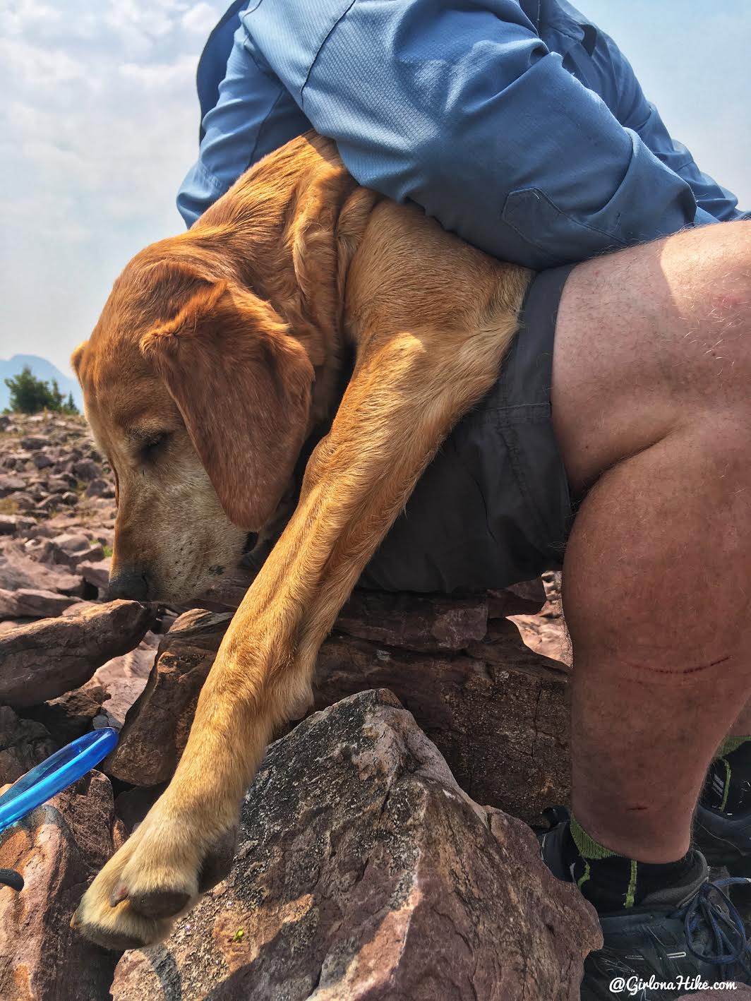 Backpacking to Round, Sand, & Fish Lakes, Uintas