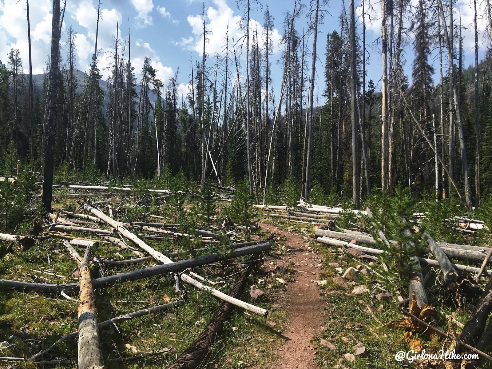 Backpacking to Allsop Lake, Uintas