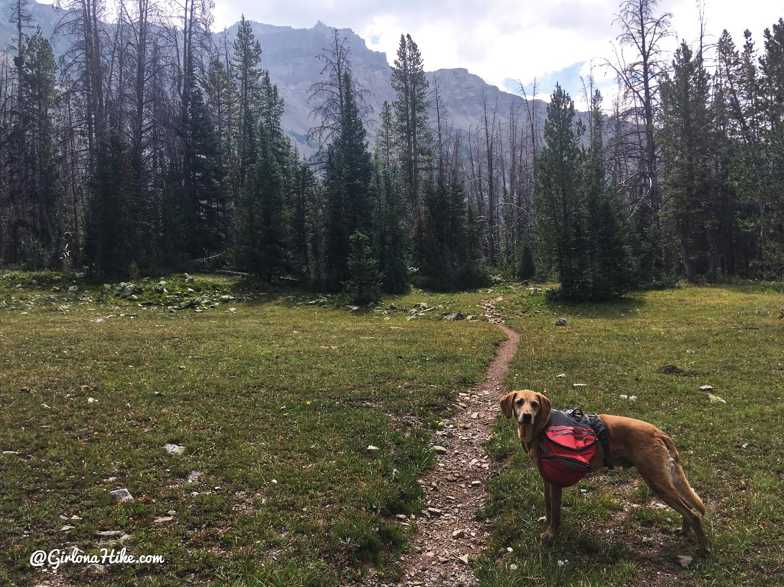 Backpacking to Allsop Lake, Uintas