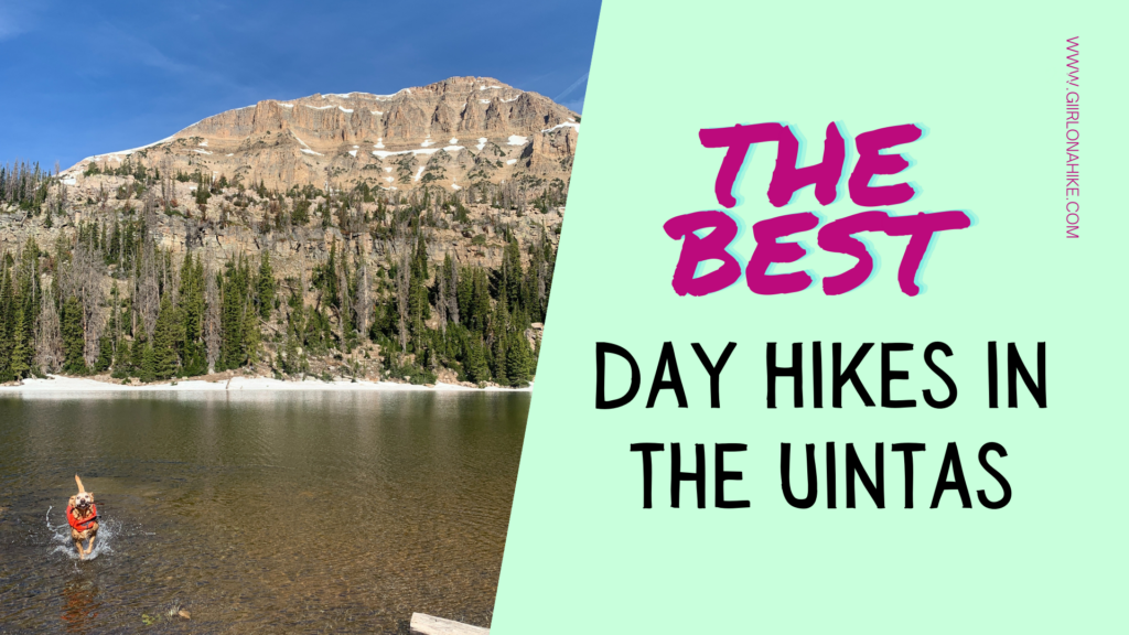 The BEST Day Hikes in the Uintas!