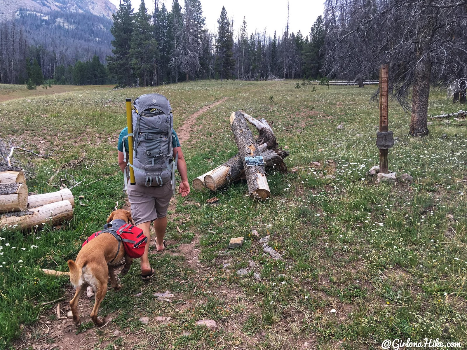 Backpacking to Dead Horse Lake, Uintas