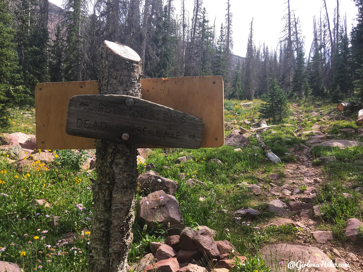 Backpacking to Dead Horse Lake, Uintas