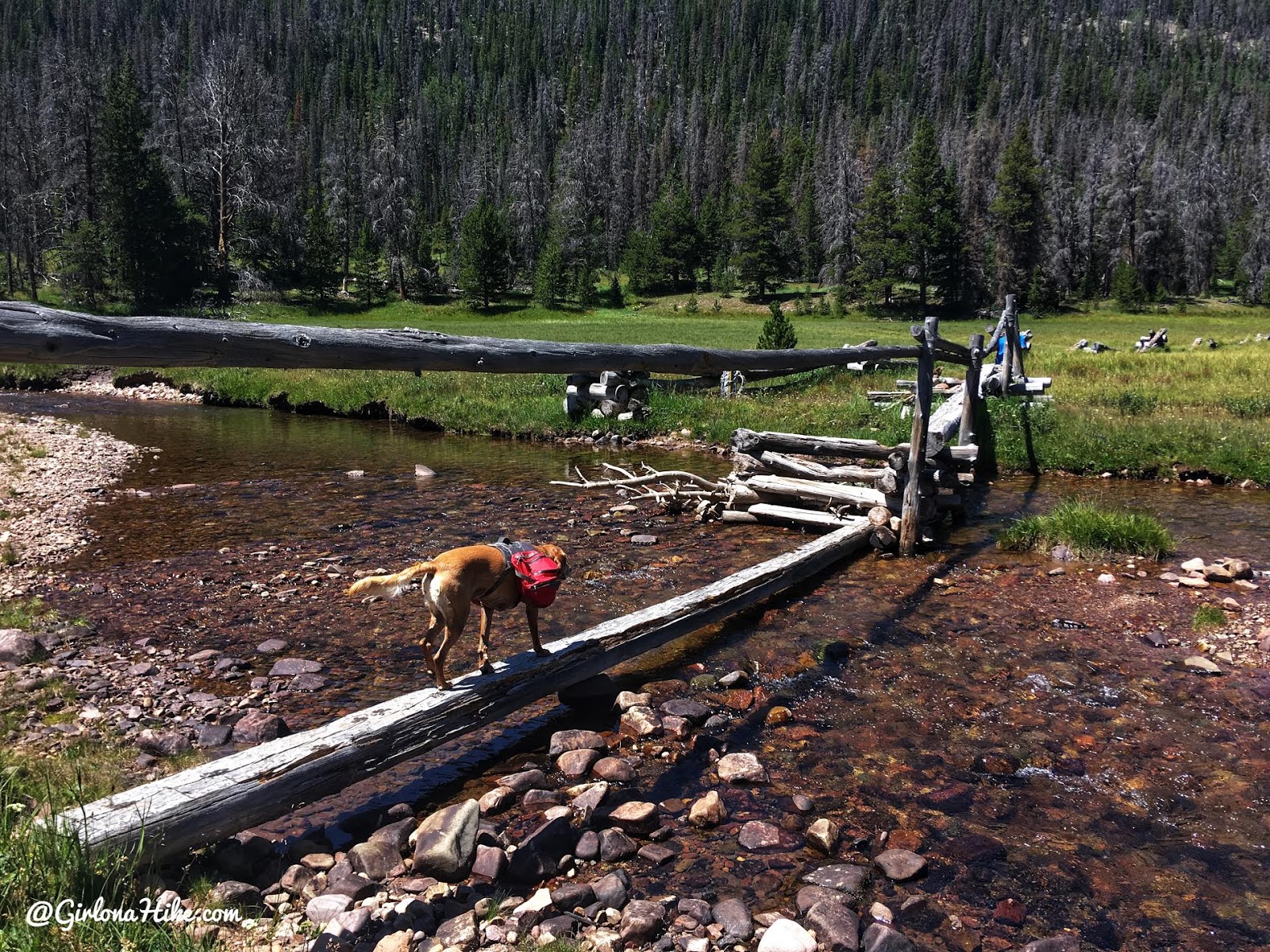 Backpacking to Dead Horse Lake, Uintas