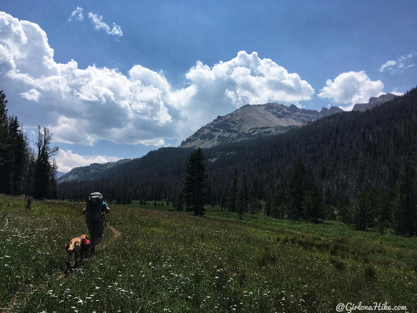 Backpacking to Dead Horse Lake, Uintas