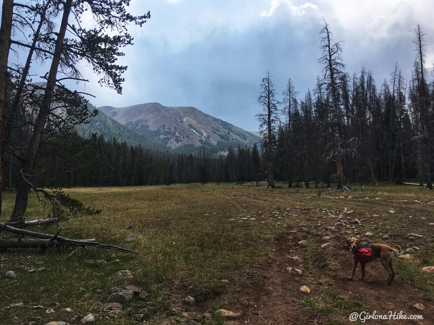 Backpacking to Dead Horse Lake, Uintas