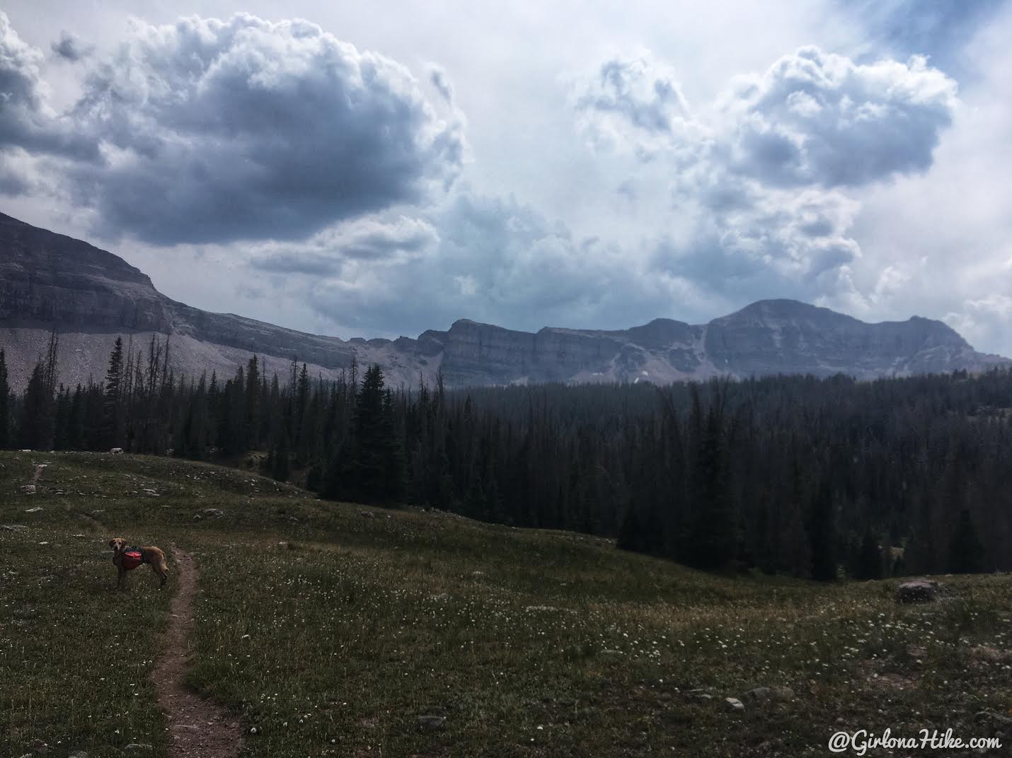 Backpacking to Dead Horse Lake, Uintas
