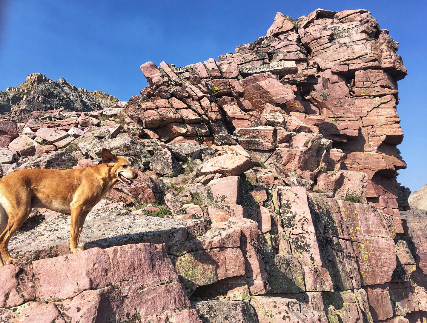 Backpacking to Dead Horse Lake, Uintas