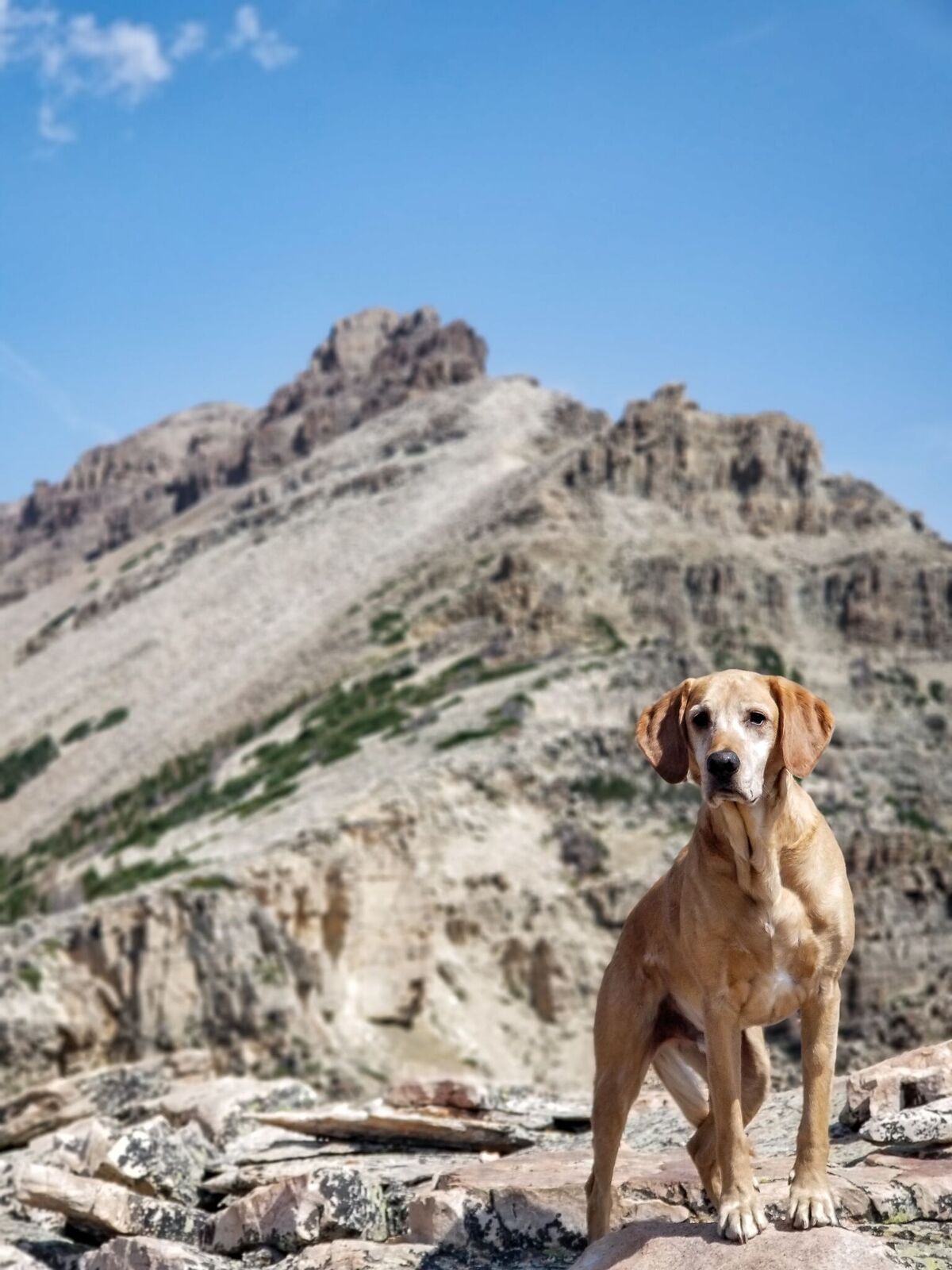 Backpacking to Allsop Lake, Uintas