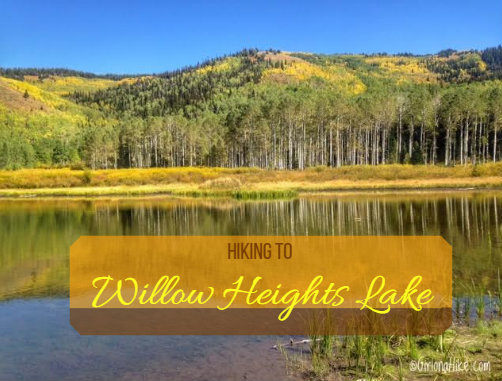 The Best 8 Trails in Salt Lake City For Visitors, Willow Heights Lake