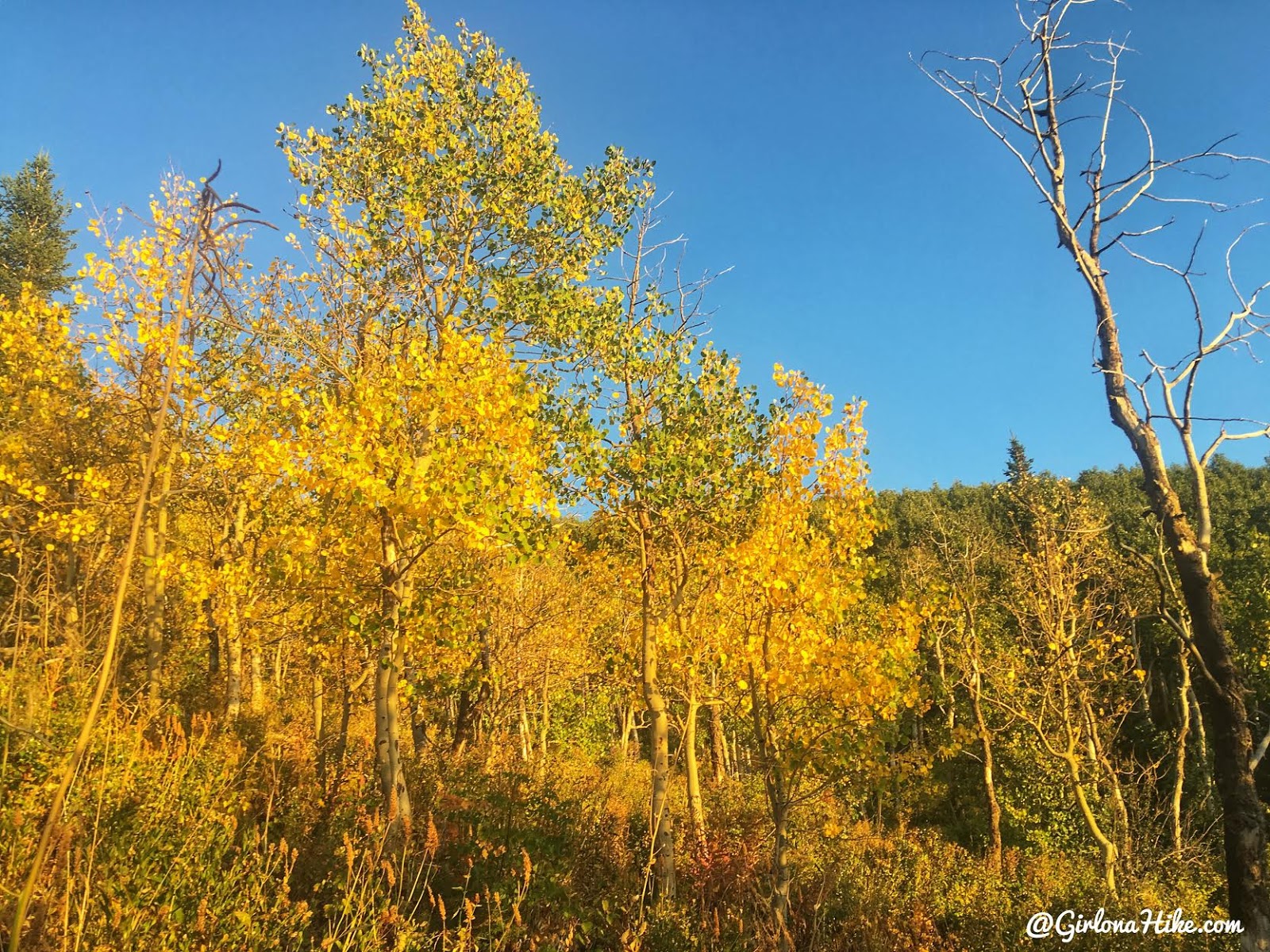 Hiking from Elbow Fork to Lamb's Canyon Pass