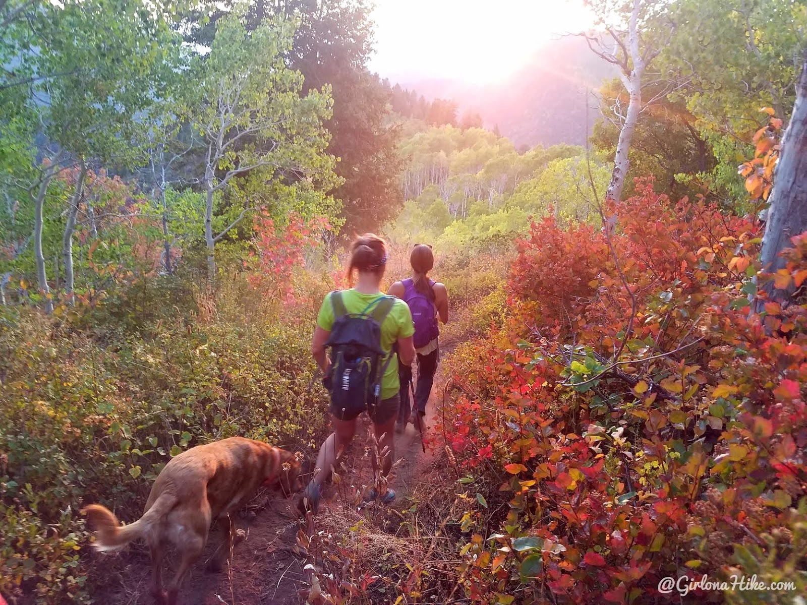 Hiking from Elbow Fork to Lamb's Canyon Pass