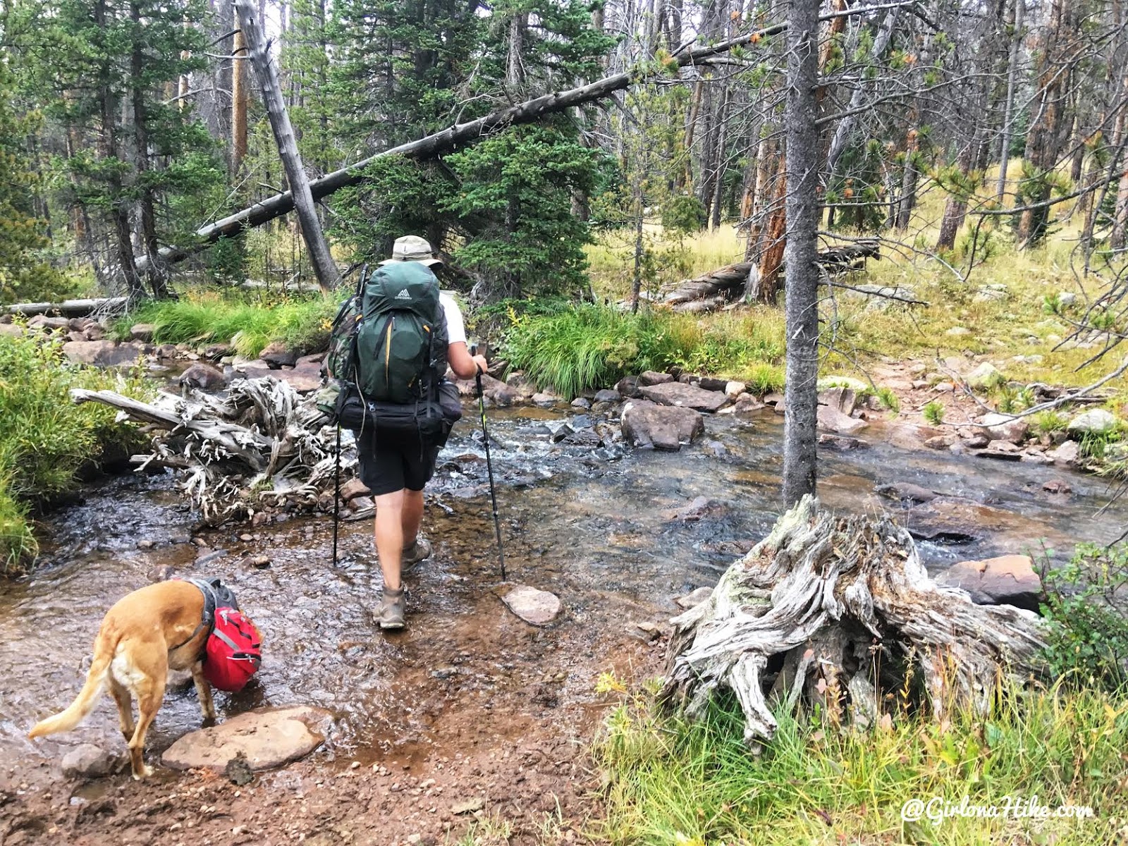 Backpacking to Gilbert Lake & Gilbert Peak, Uintas