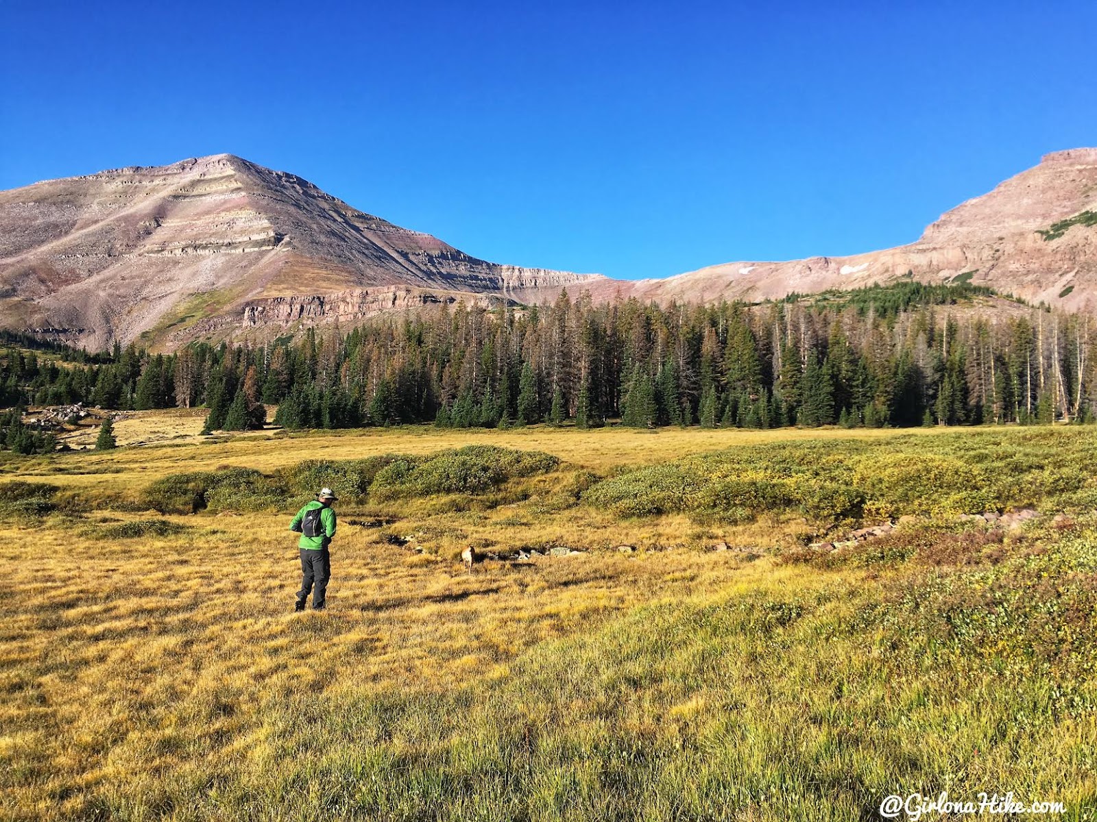 Backpacking to Gilbert Lake & Gilbert Peak, Uintas