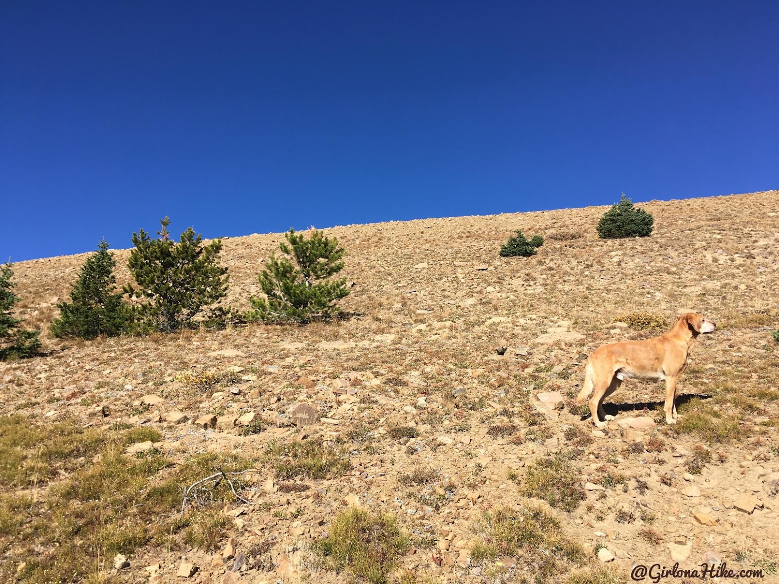 Backpacking to Teal Lake & Mt. Marsell, Uintas