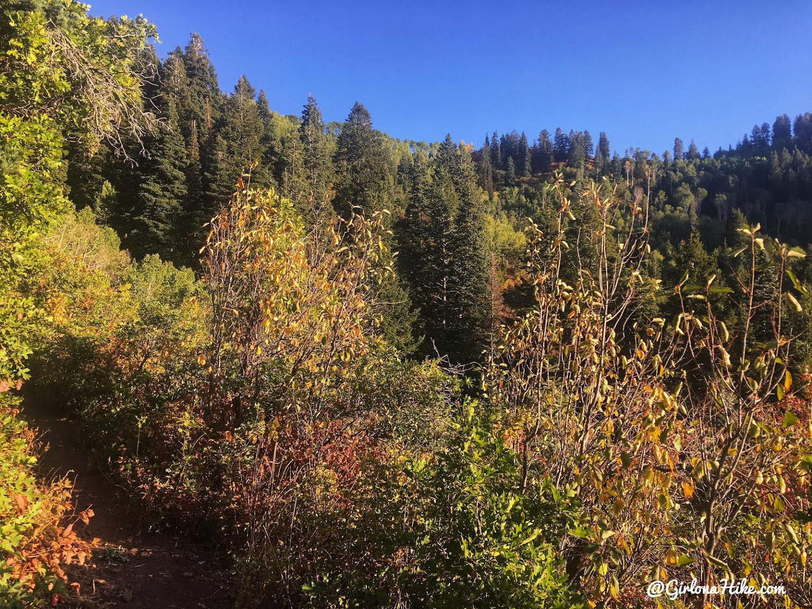 Hiking from Elbow Fork to Lamb's Canyon Pass