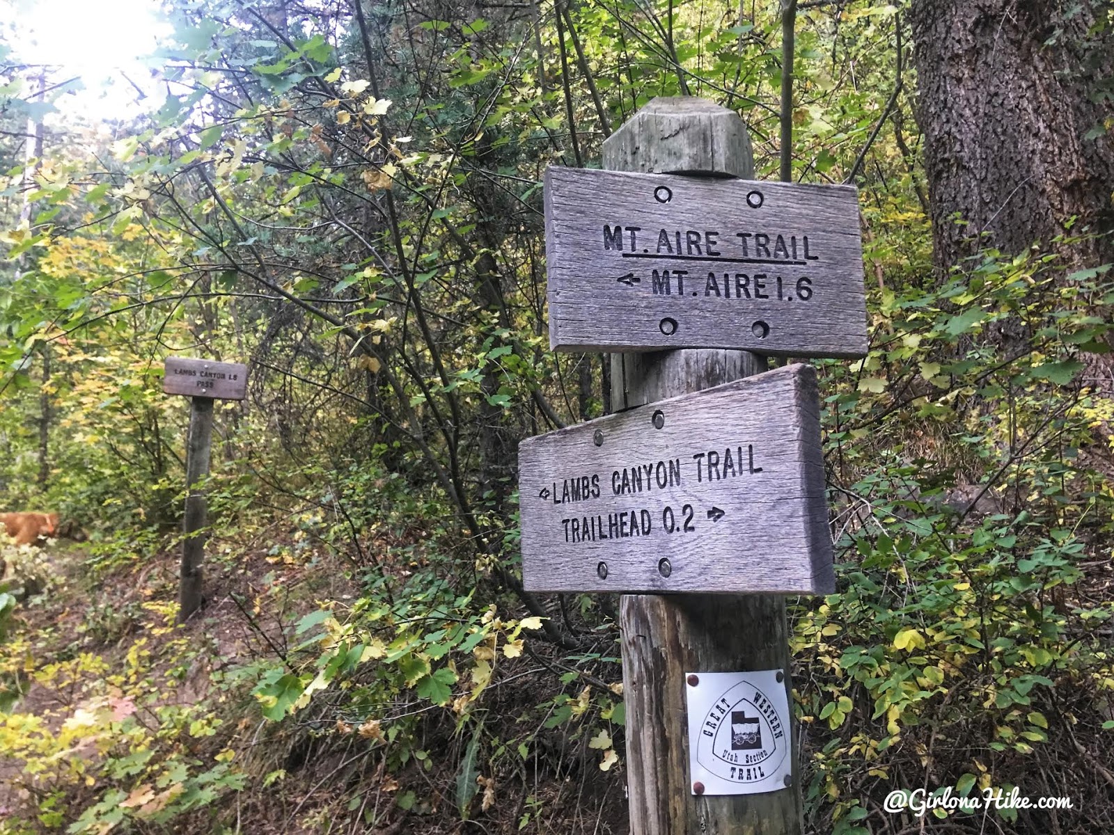 Hiking from Elbow Fork to Lamb's Canyon Pass