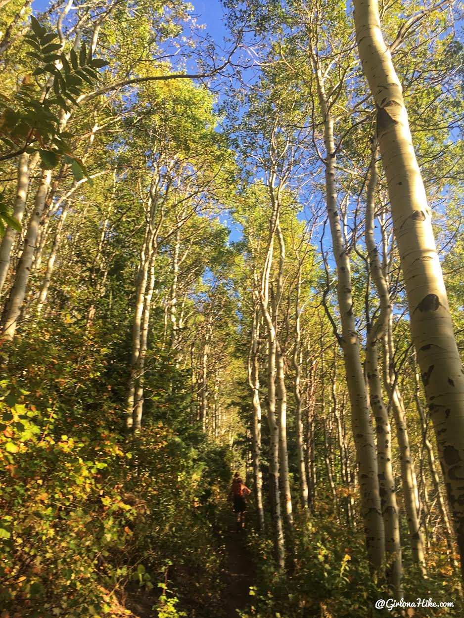 Hiking from Elbow Fork to Lamb's Canyon Pass