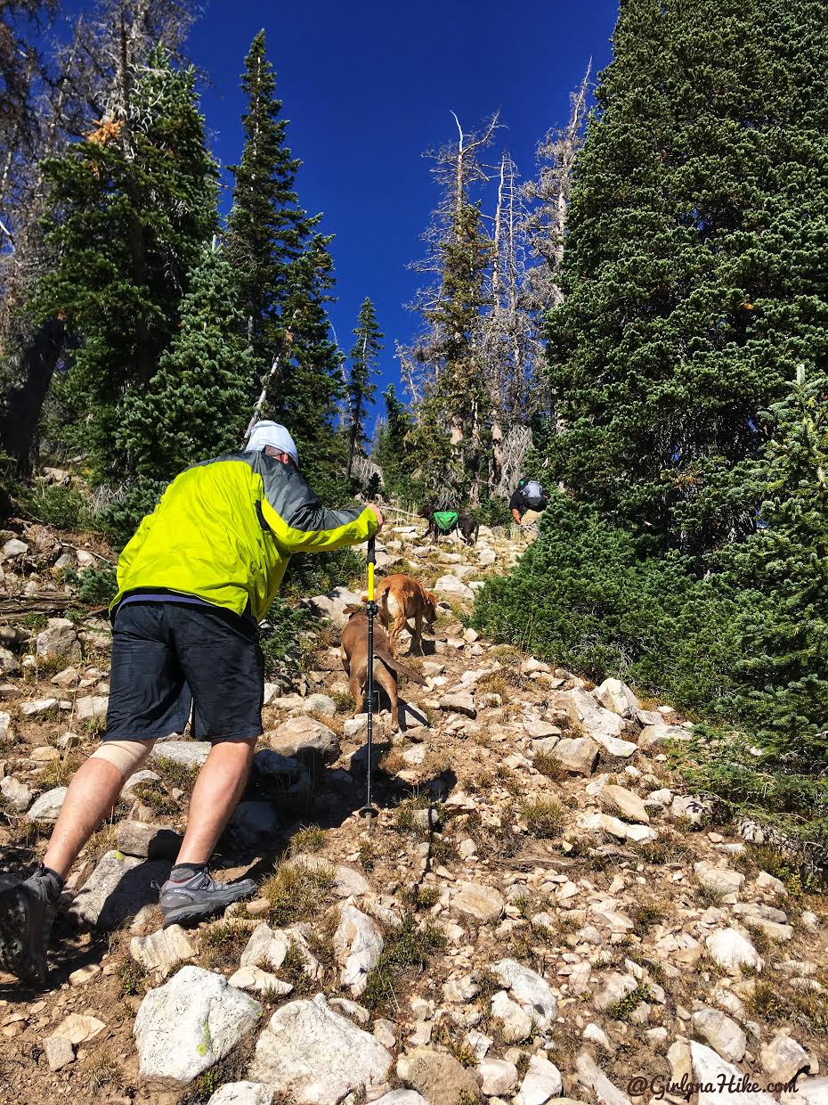 Backpacking to Teal Lake & Mt. Marsell, Uintas