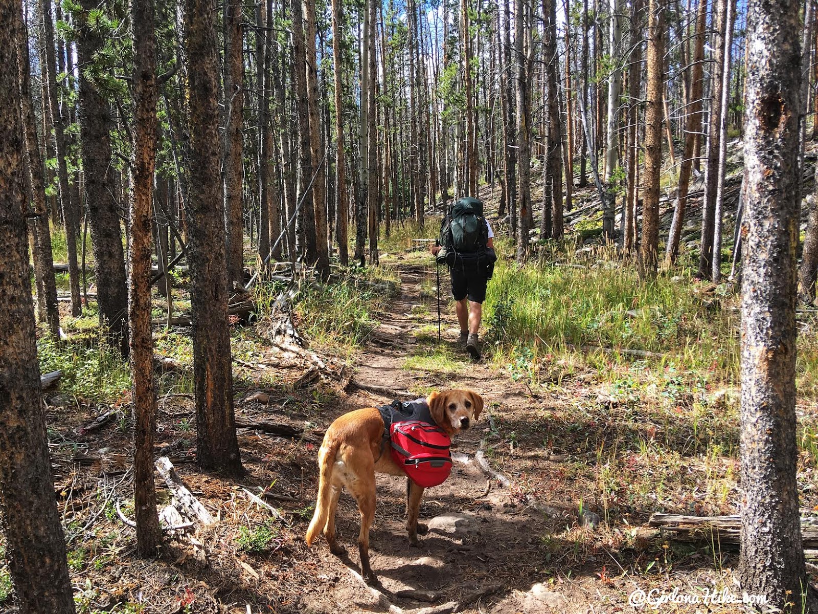 Backpacking to Gilbert Lake & Gilbert Peak, Uintas