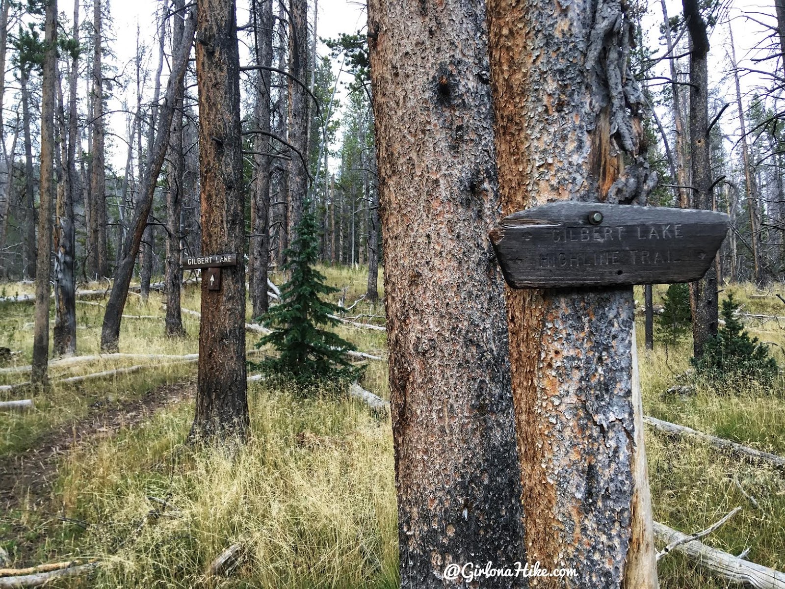 Backpacking to Gilbert Lake & Gilbert Peak, Uintas