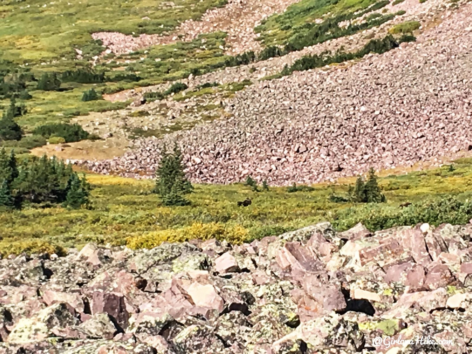 Backpacking to Gilbert Lake & Gilbert Peak, Uintas