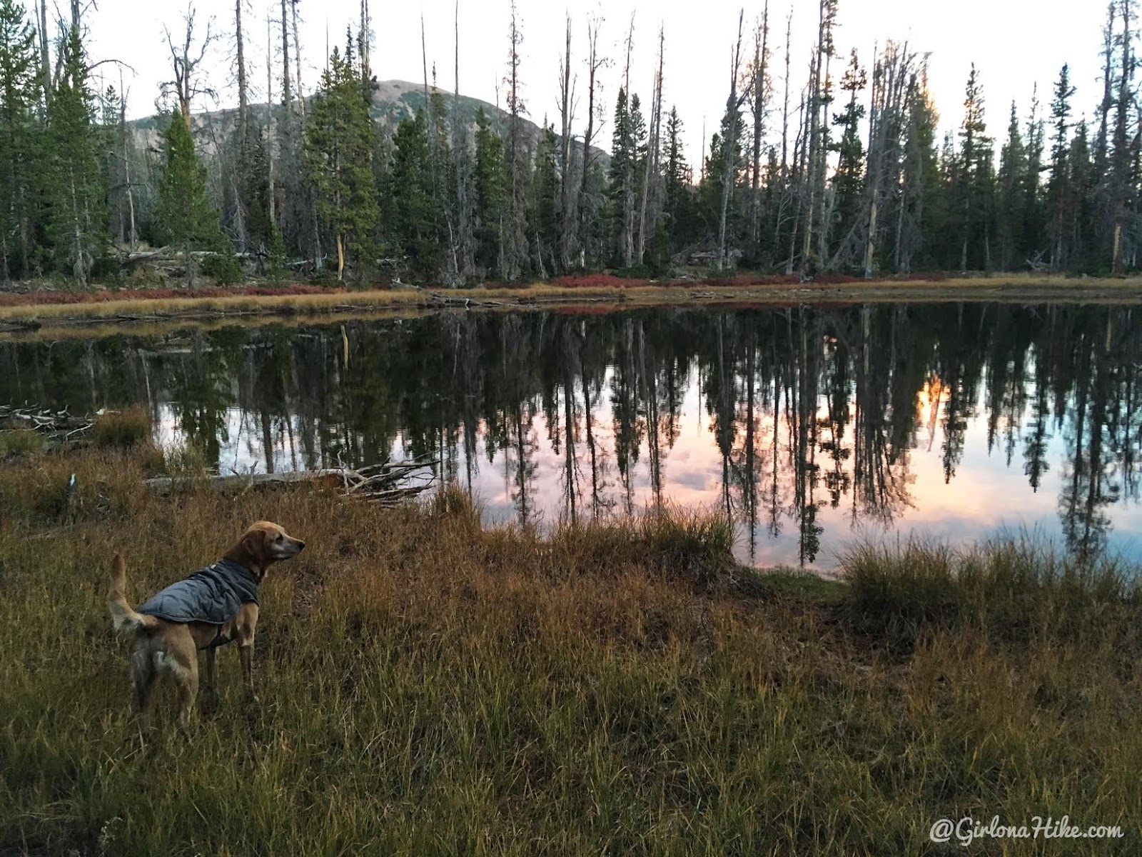 Backpacking to Teal Lake & Mt. Marsell, Uintas