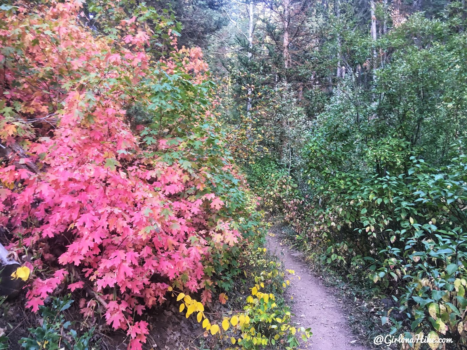 Hiking from Elbow Fork to Lamb's Canyon Pass