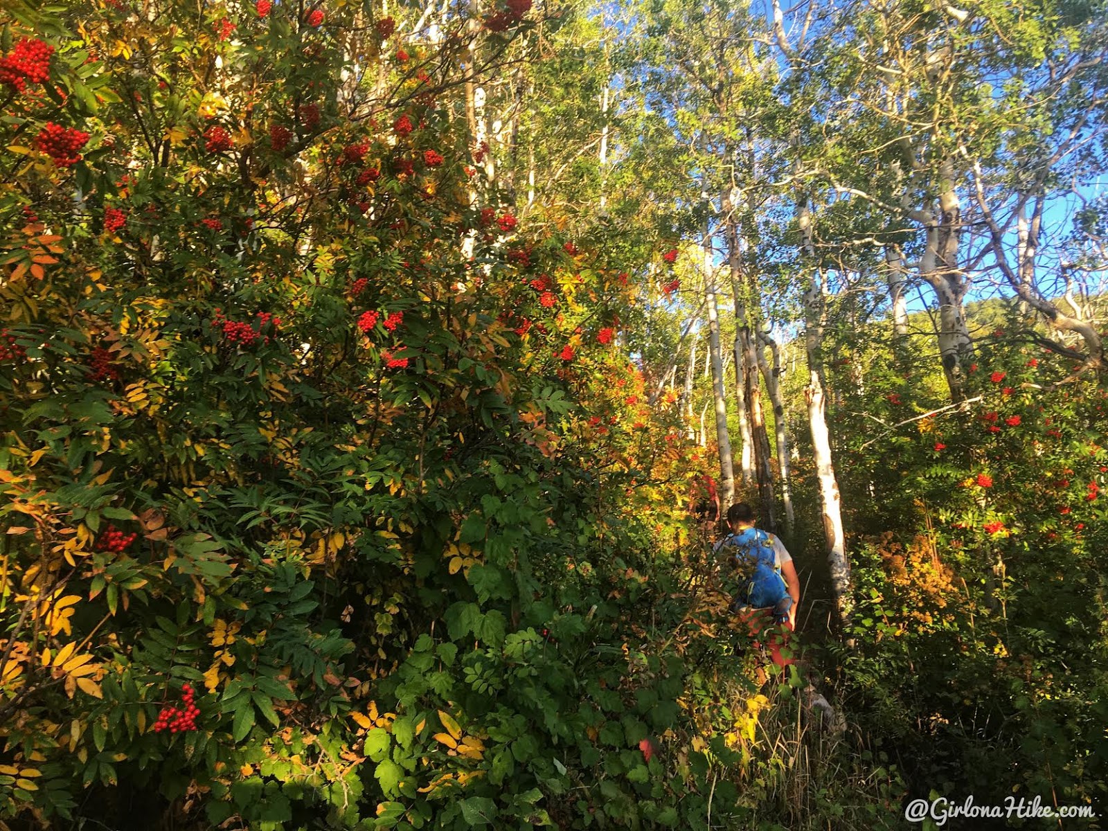 Hiking from Elbow Fork to Lamb's Canyon Pass