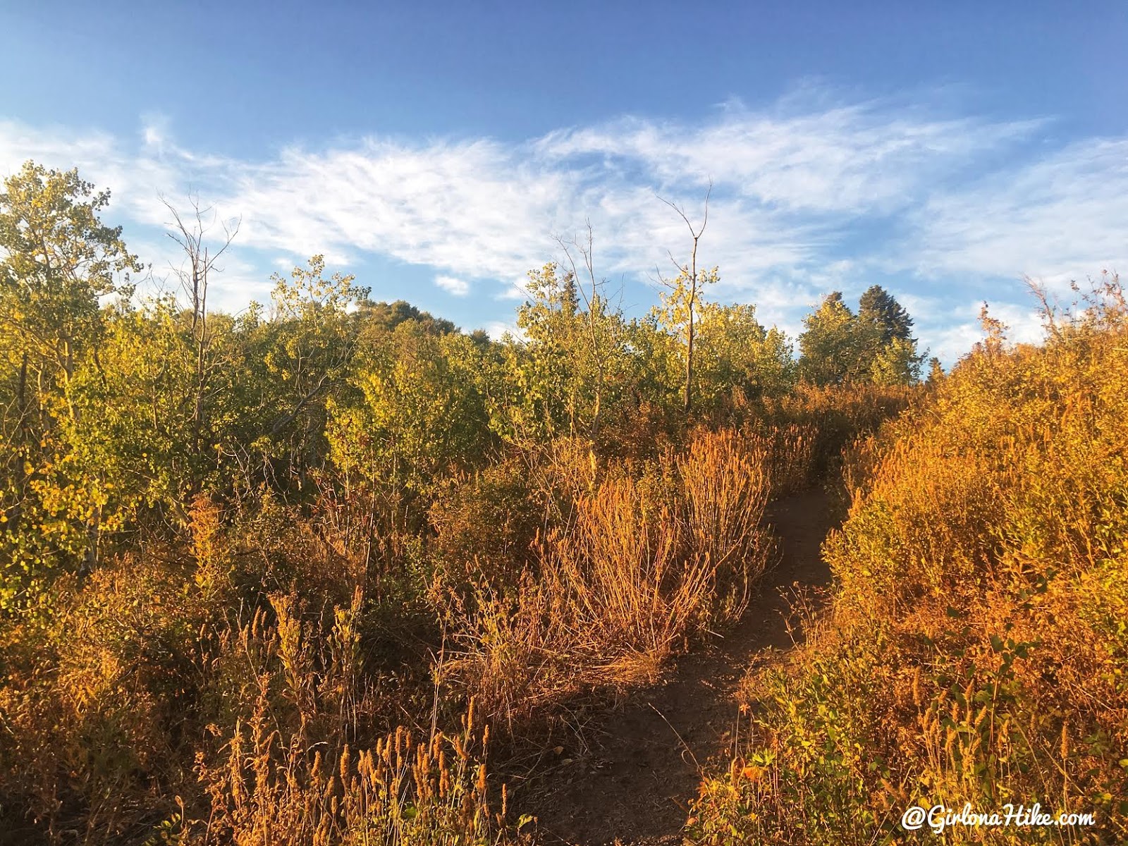 Hiking from Elbow Fork to Lamb's Canyon Pass