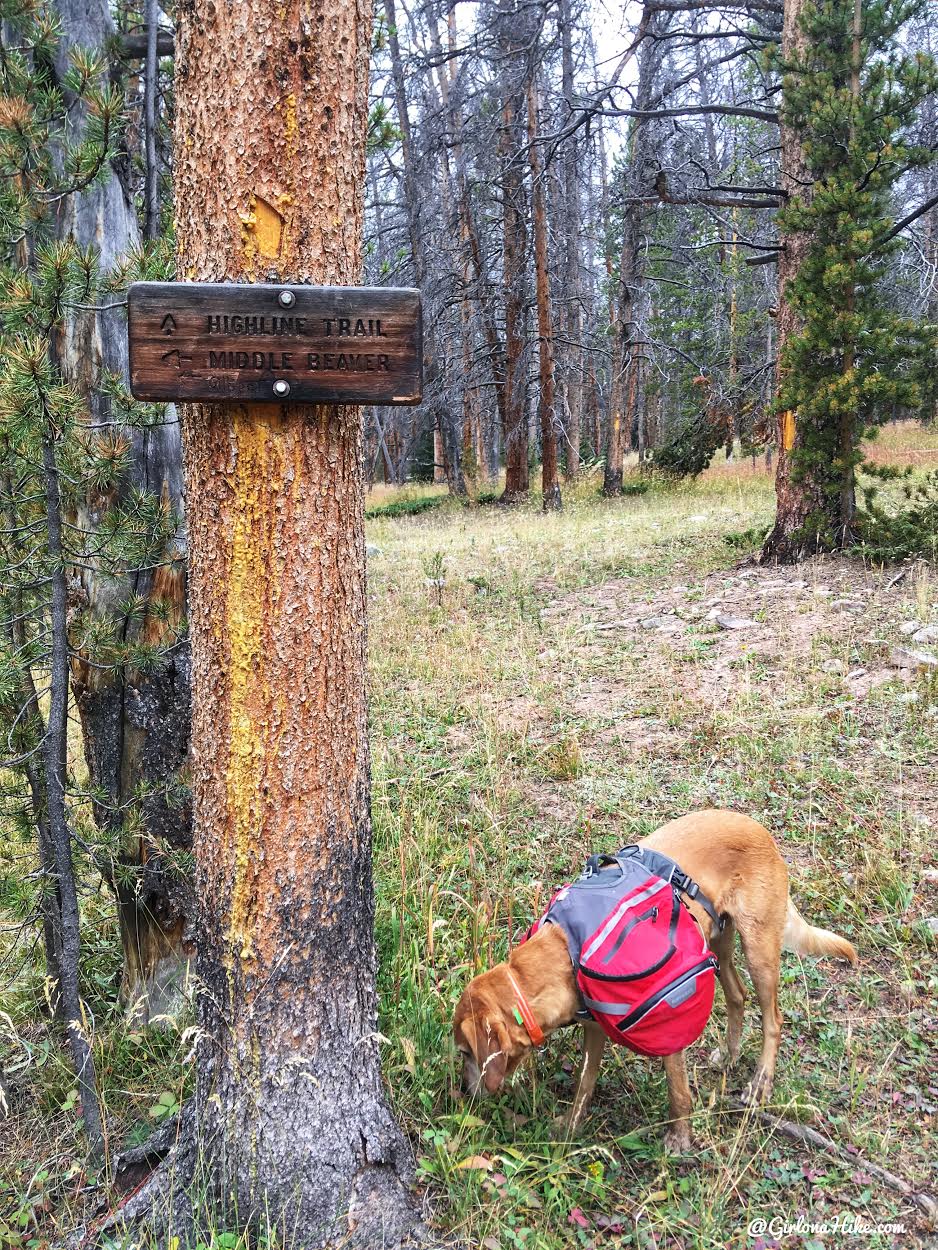 Backpacking to Gilbert Lake & Gilbert Peak, Uintas