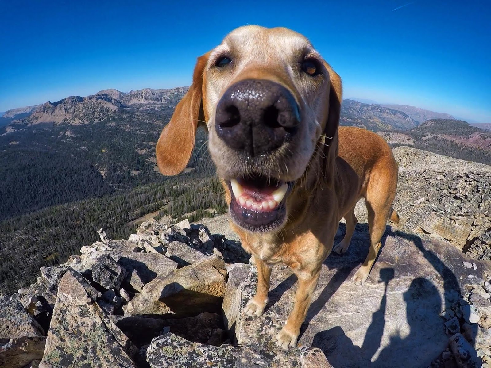 Backpacking to Teal Lake & Mt. Marsell, Uintas