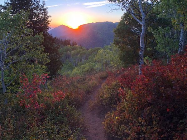 Hiking from Elbow Fork to Lamb's Canyon Pass