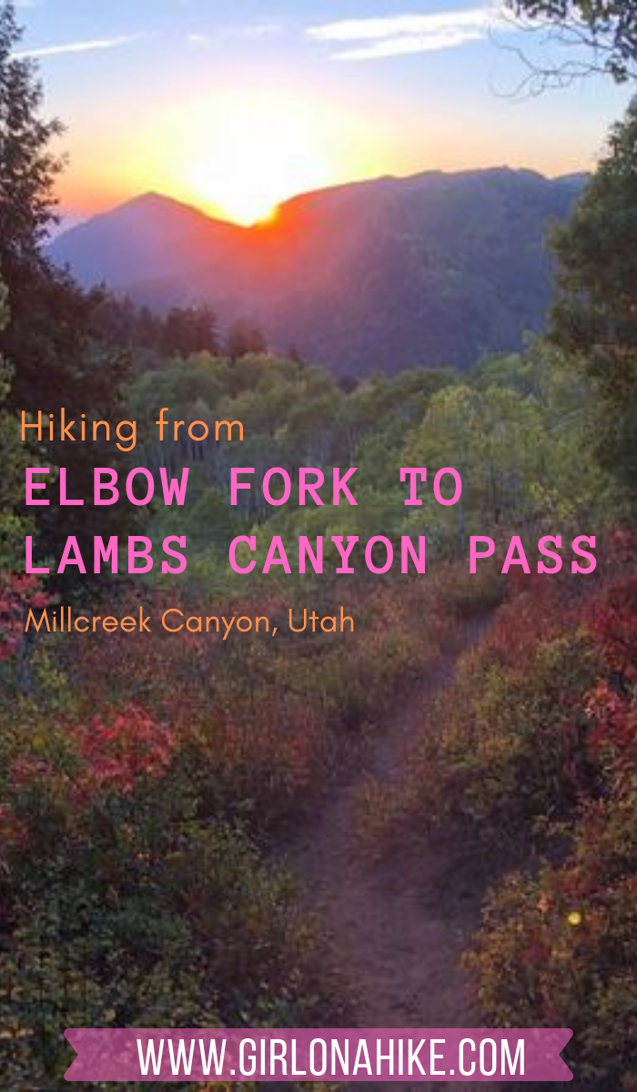 Hiking from Elbow Fork to Lamb's Canyon Pass