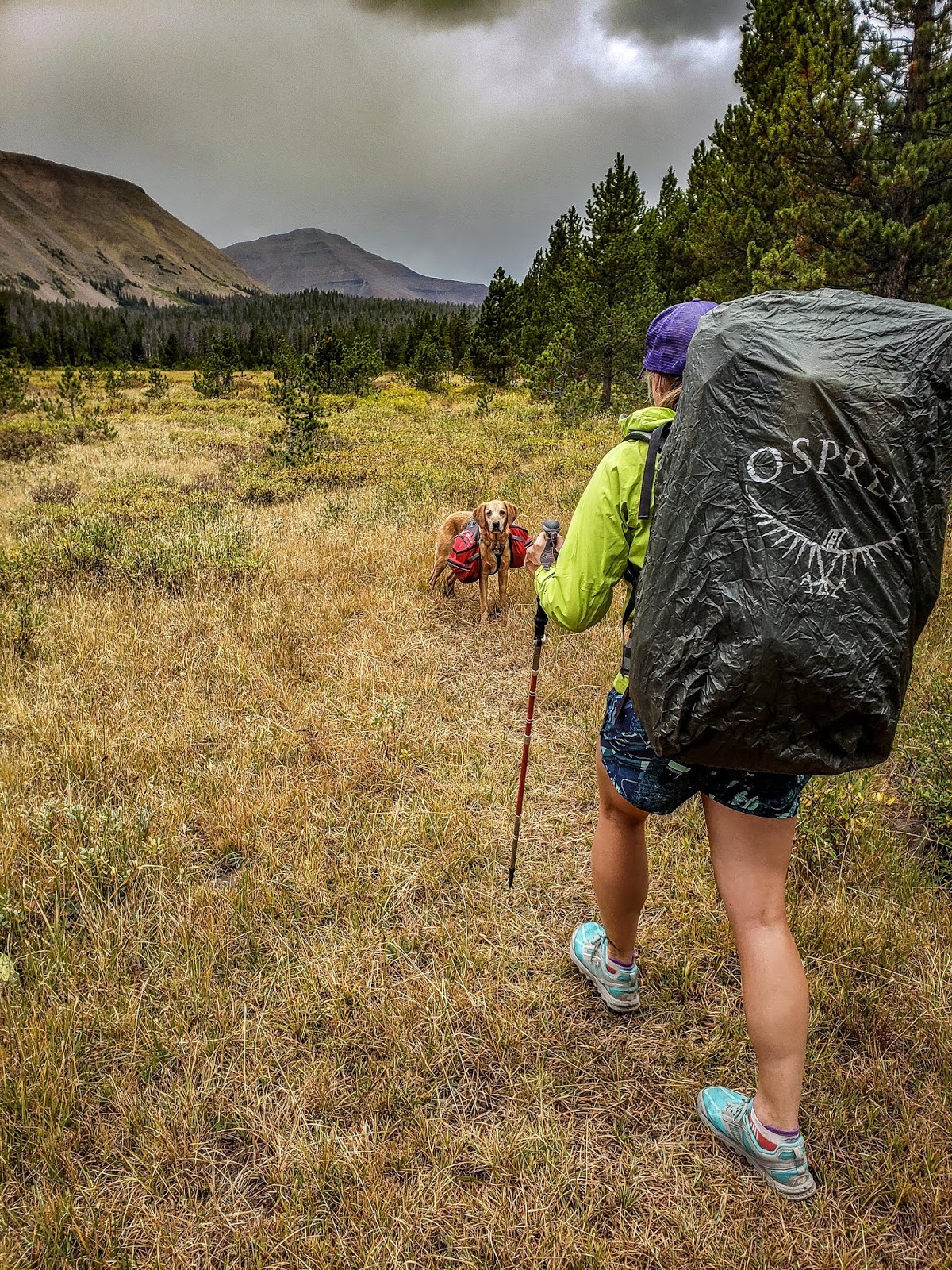 Backpacking to Gilbert Lake & Gilbert Peak, Uintas