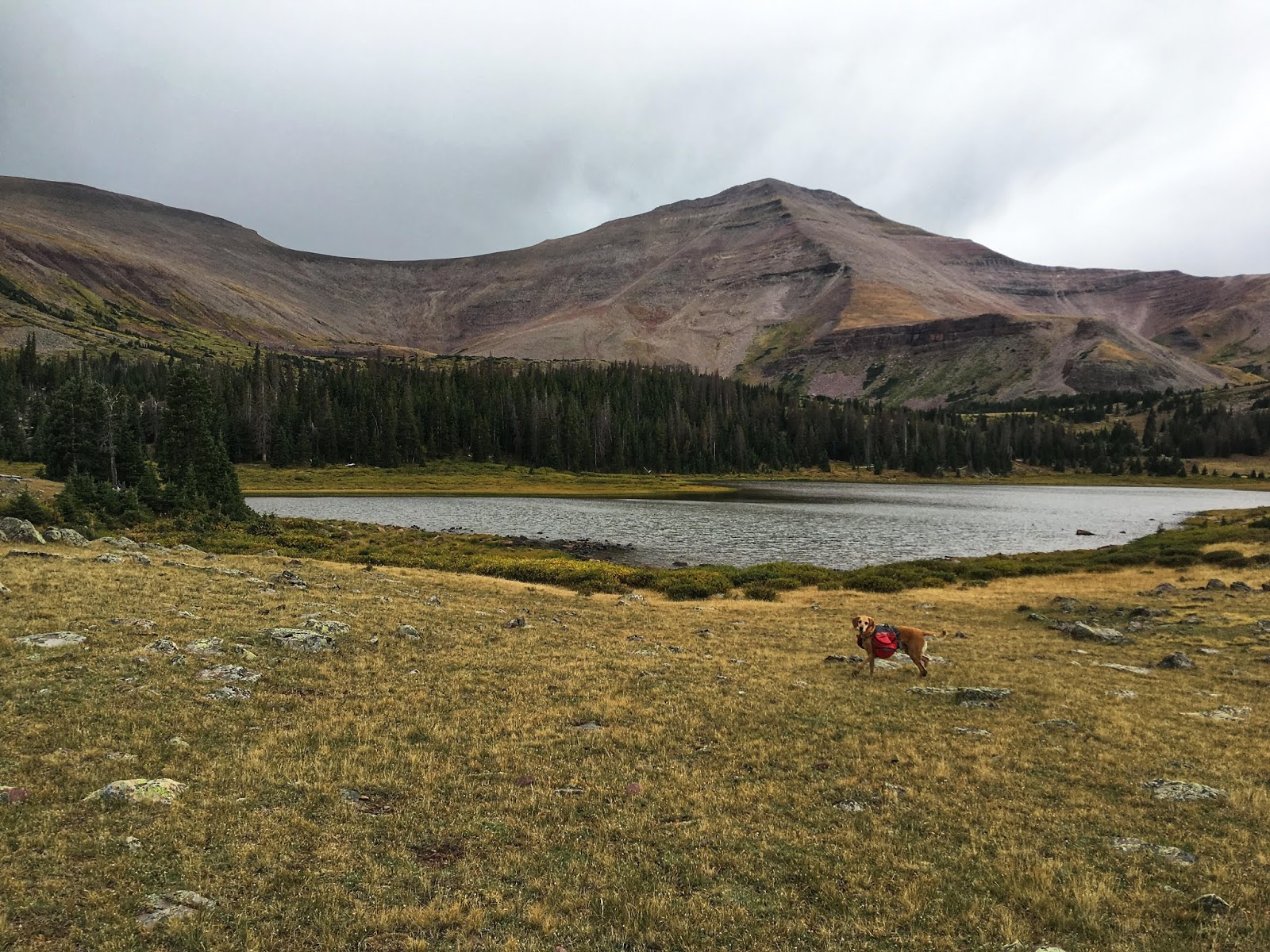 Backpacking to Gilbert Lake & Gilbert Peak, Uintas