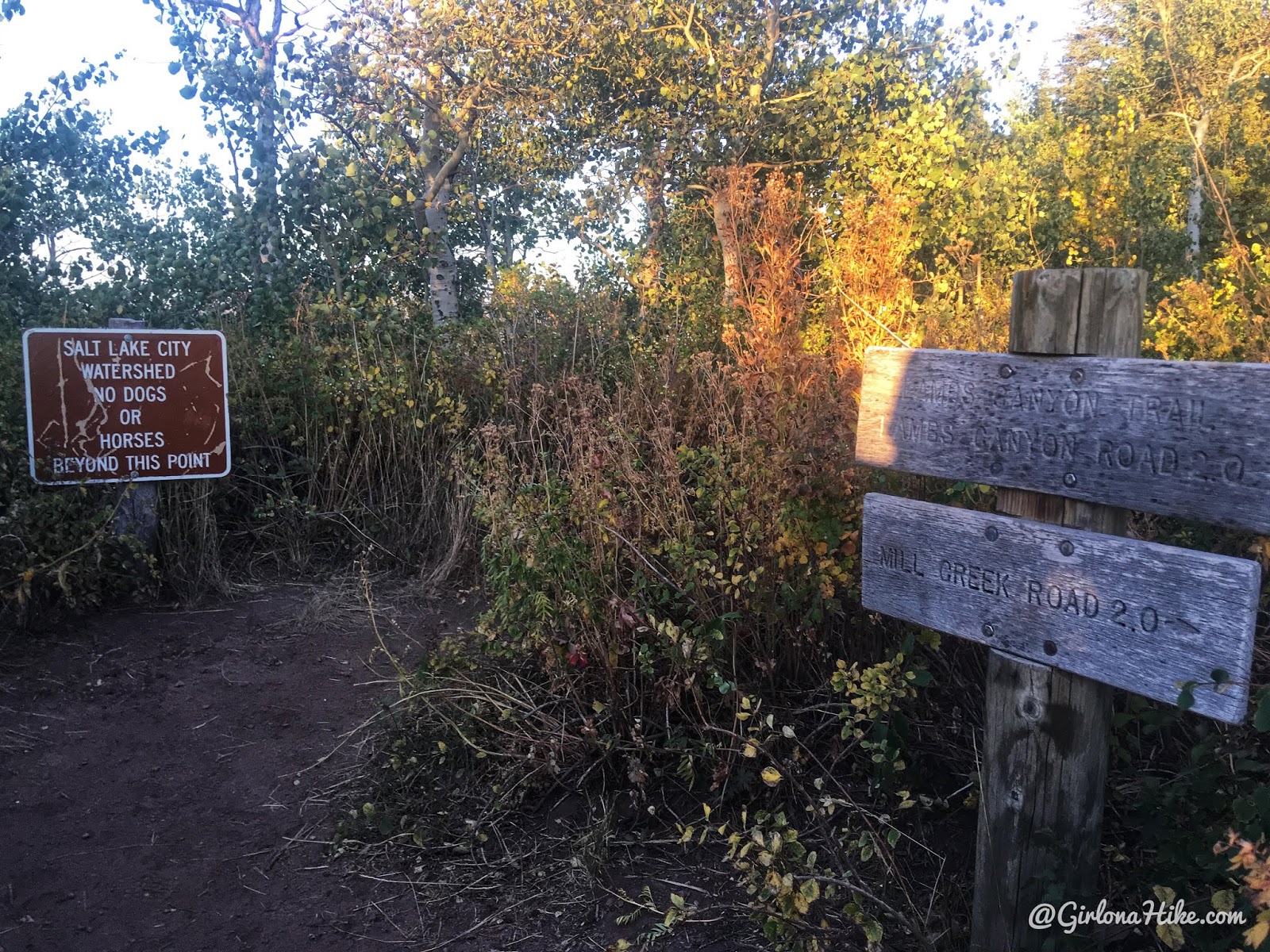 Hiking from Elbow Fork to Lamb's Canyon Pass