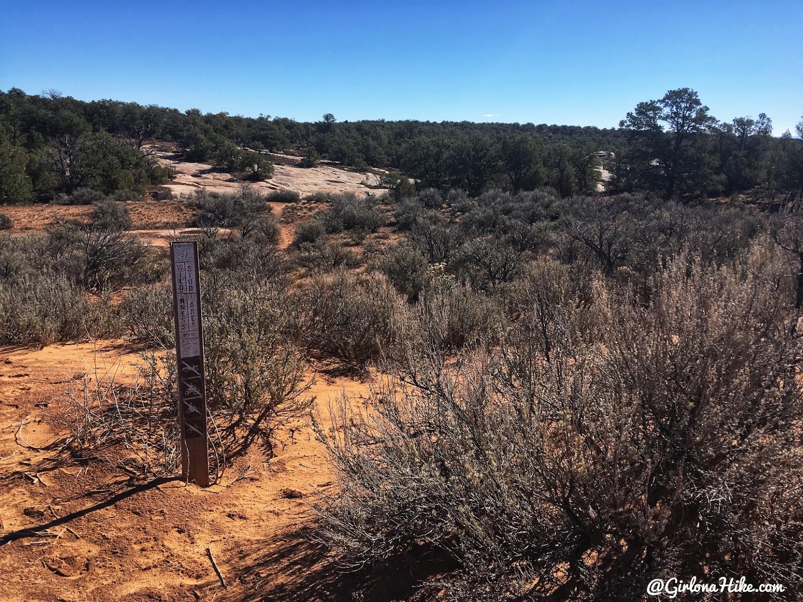 Backpacking Fish & Owl Canyons, Cedar Mesa & Bears Ears National Monument