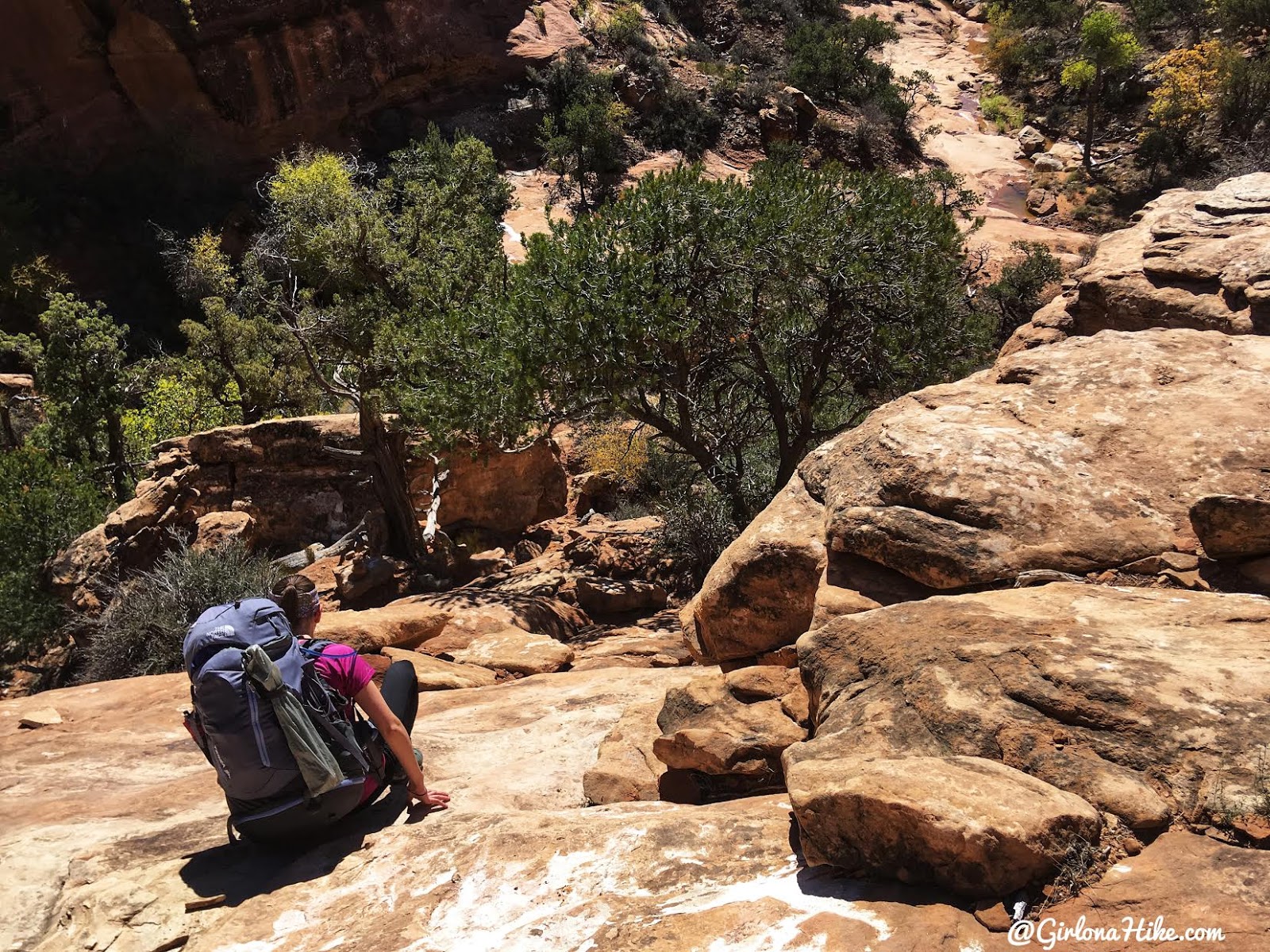 Backpacking Fish & Owl Canyons, Cedar Mesa & Bears Ears National Monument