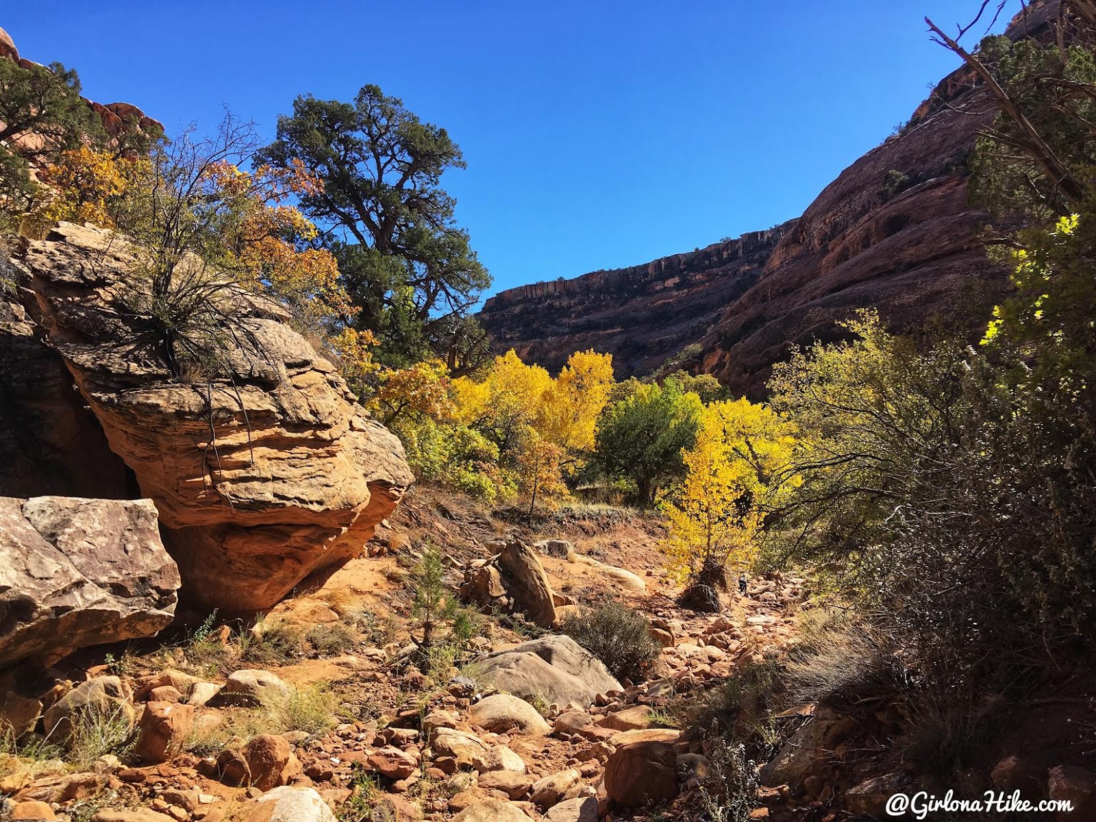 Backpacking Fish & Owl Canyons, Cedar Mesa & Bears Ears National Monument