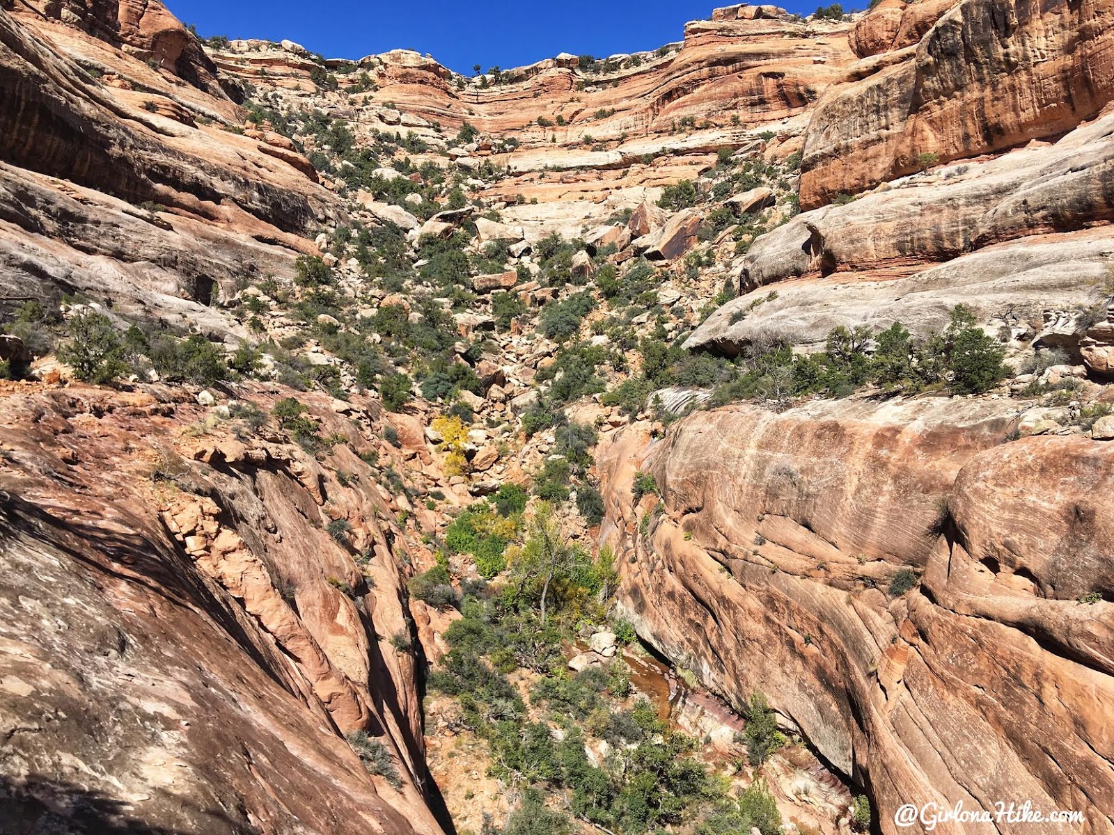 Backpacking Fish & Owl Canyons, Cedar Mesa & Bears Ears National Monument