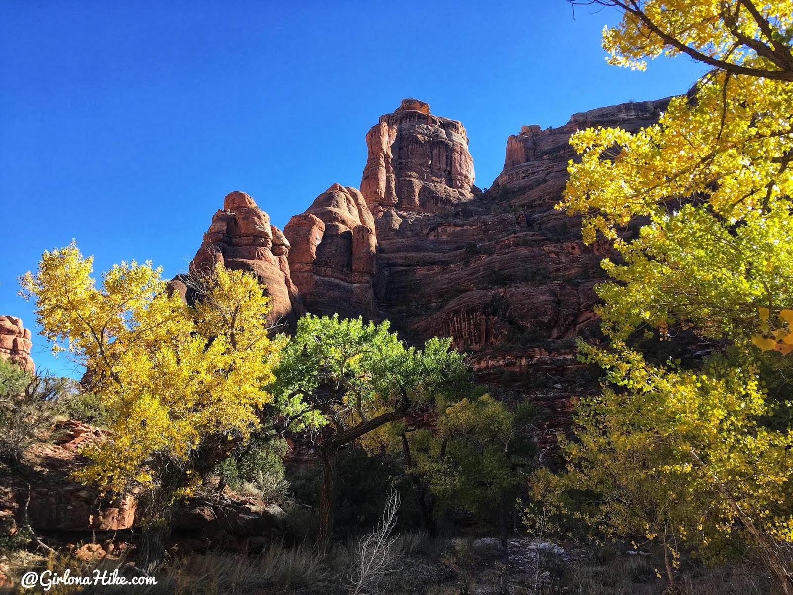 Backpacking Fish & Owl Canyons, Cedar Mesa & Bears Ears National Monument