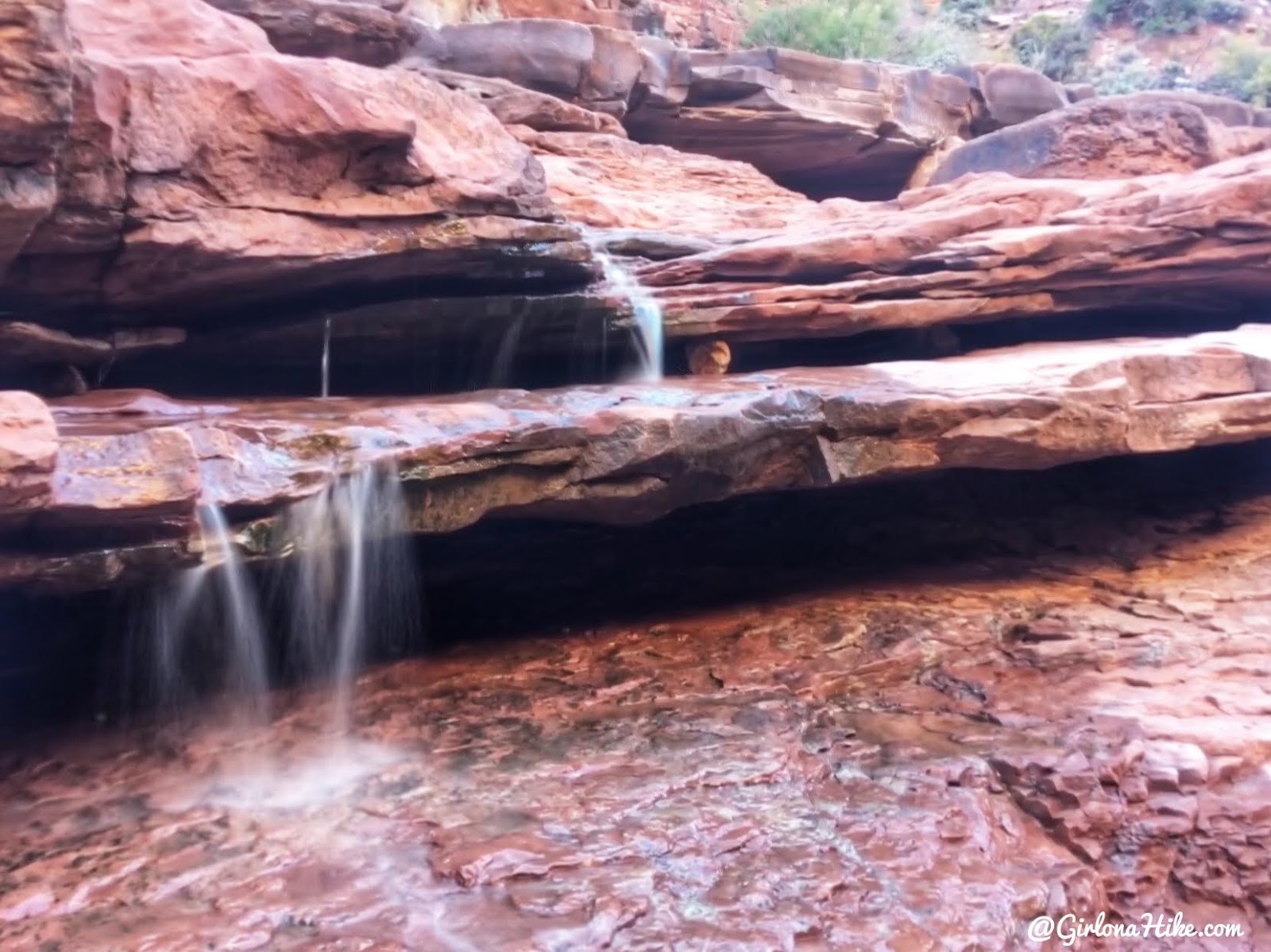 Backpacking Fish & Owl Canyons, Cedar Mesa & Bears Ears National Monument